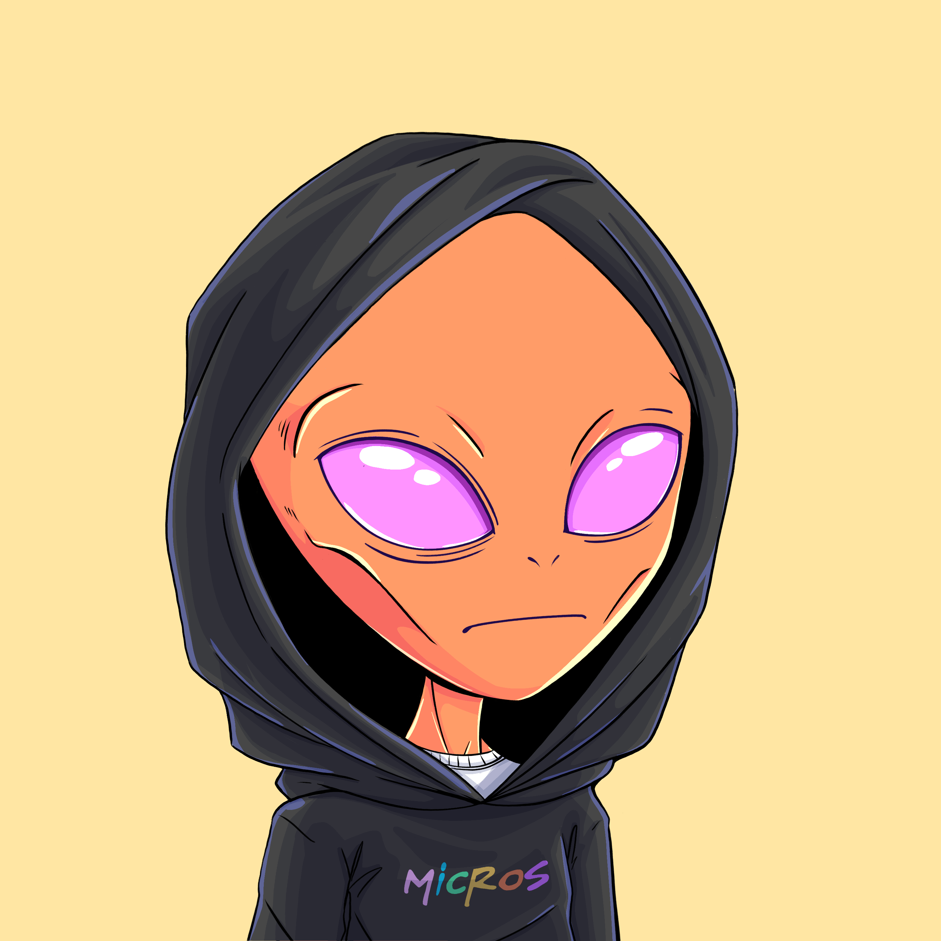 Micros #1177