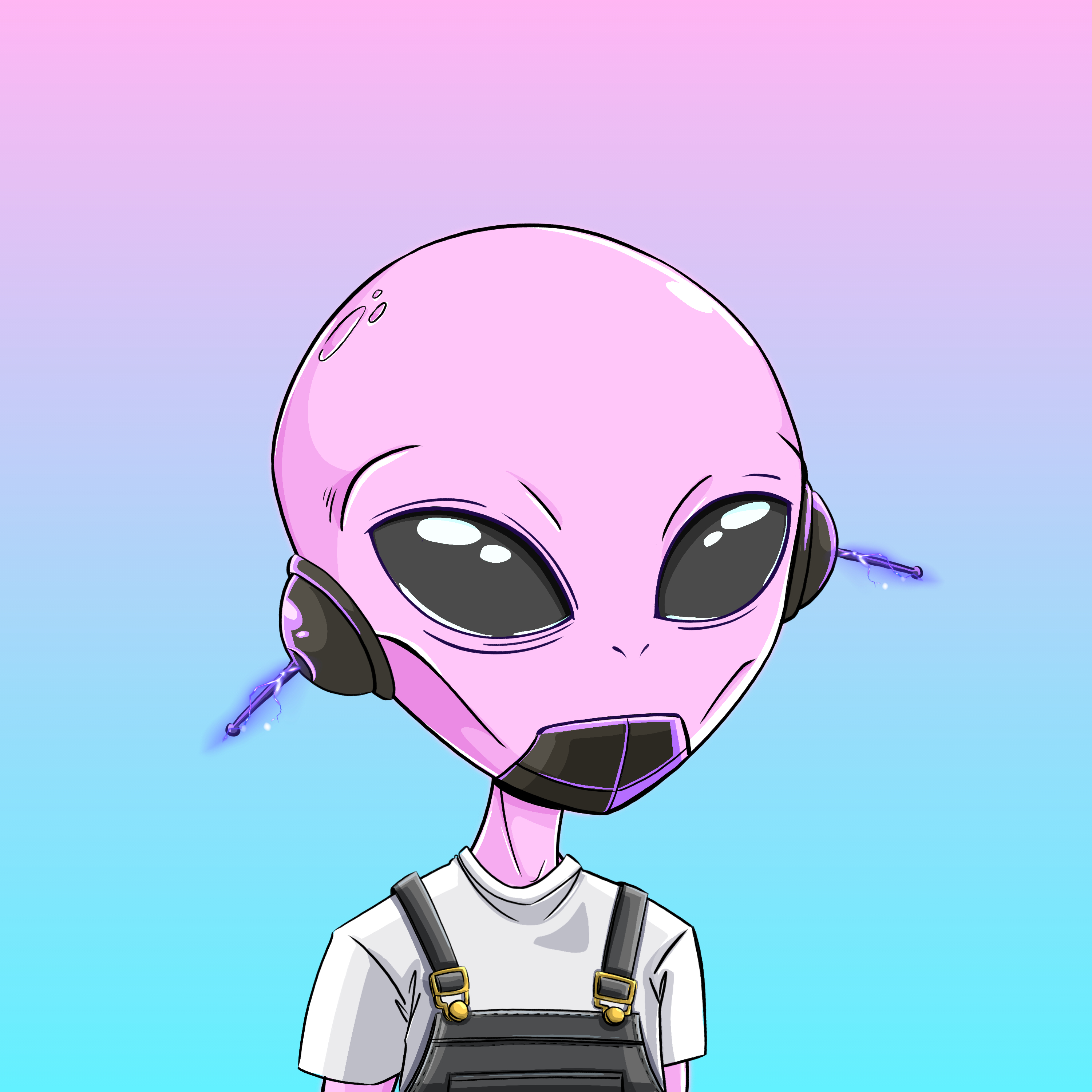 Micros #2117