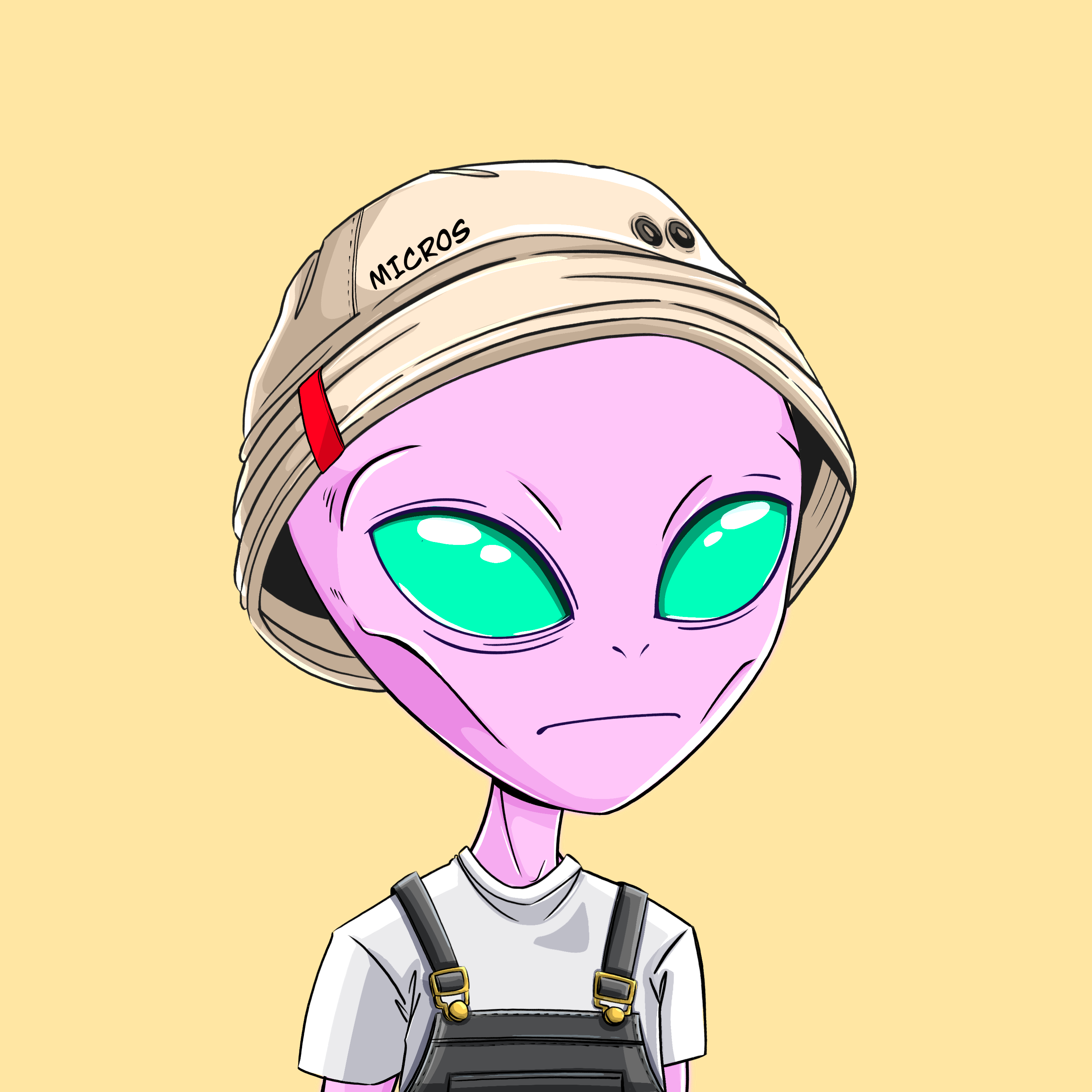Micros #3712