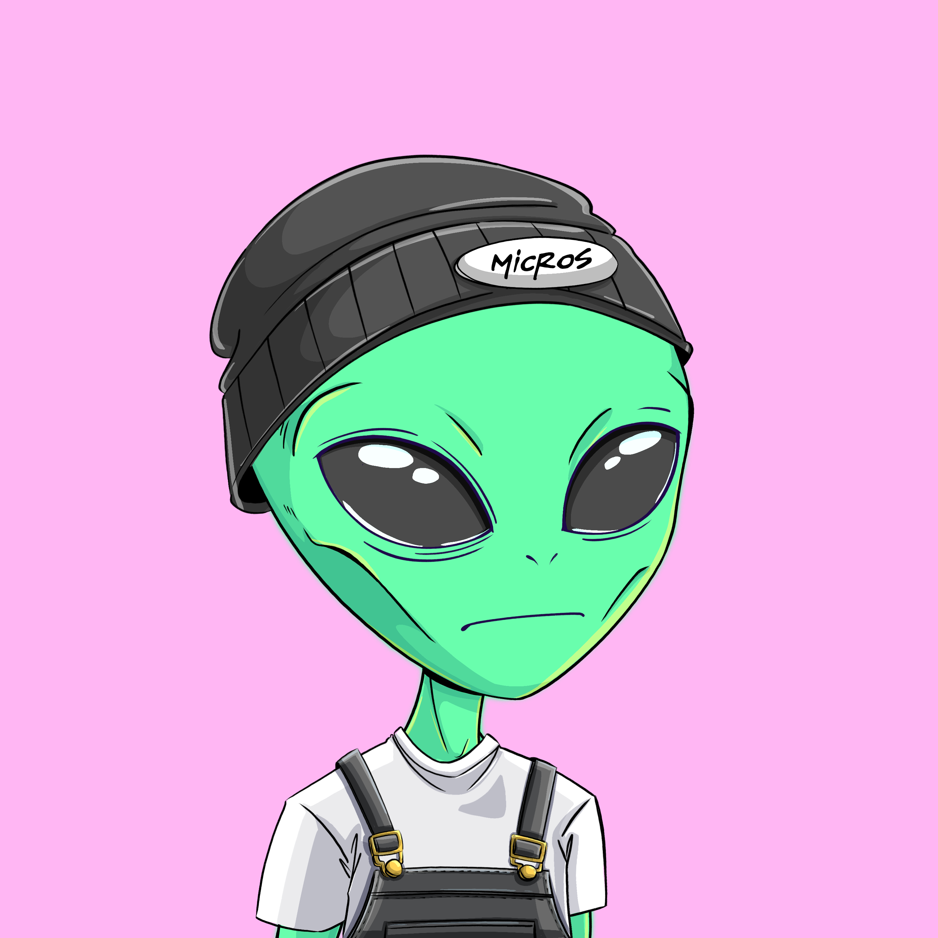 Micros #9216