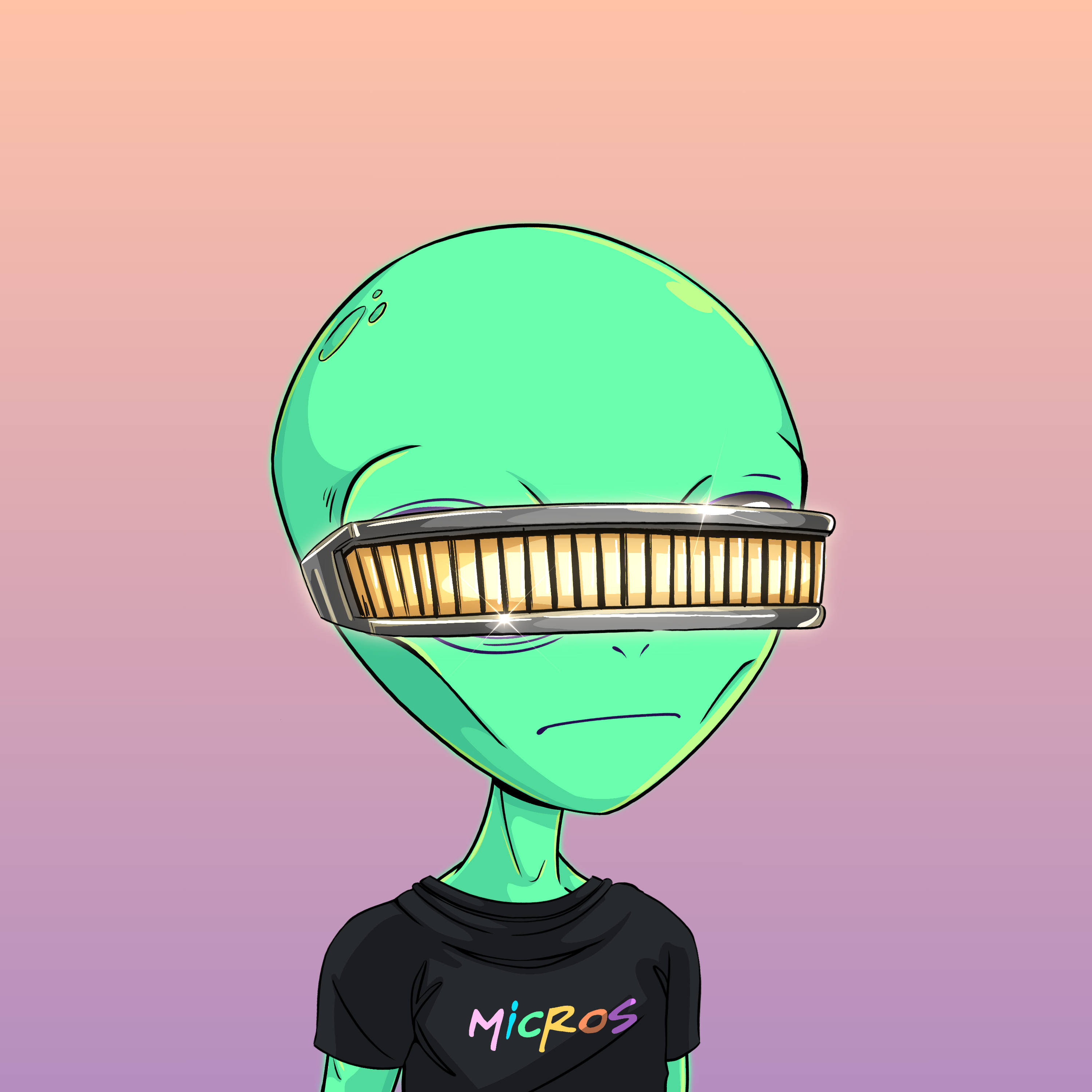 Micros #8617