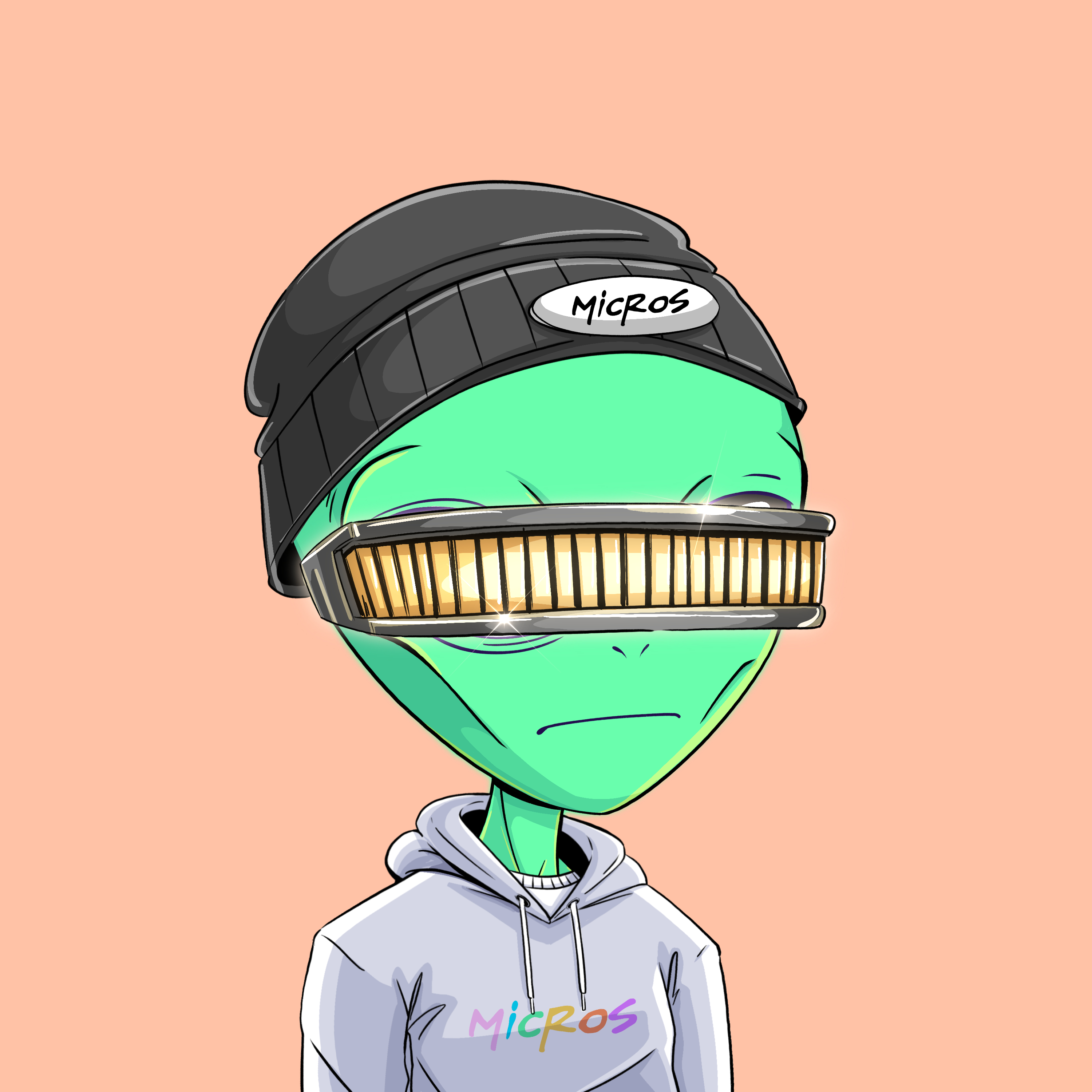 Micros #2271