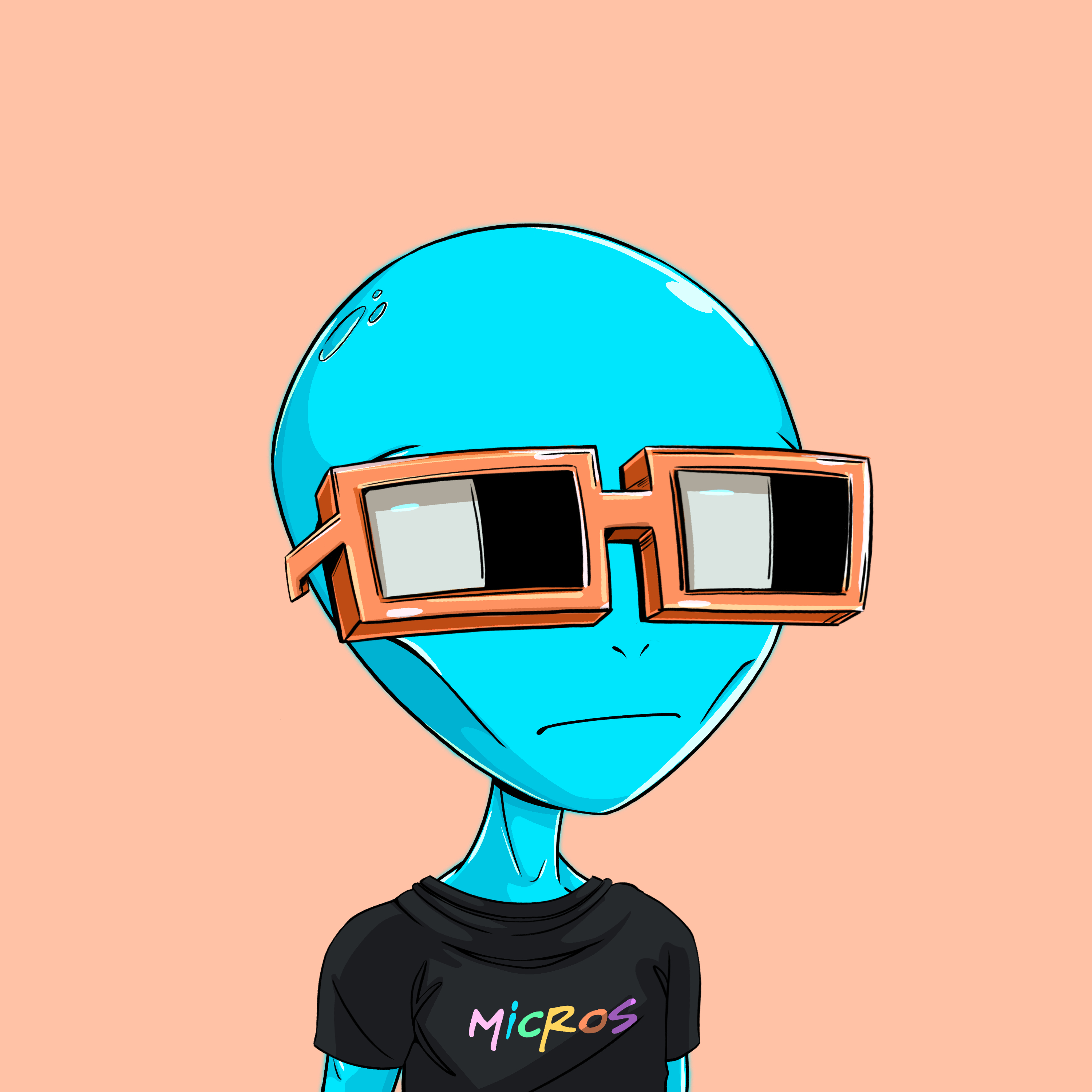 Micros #649