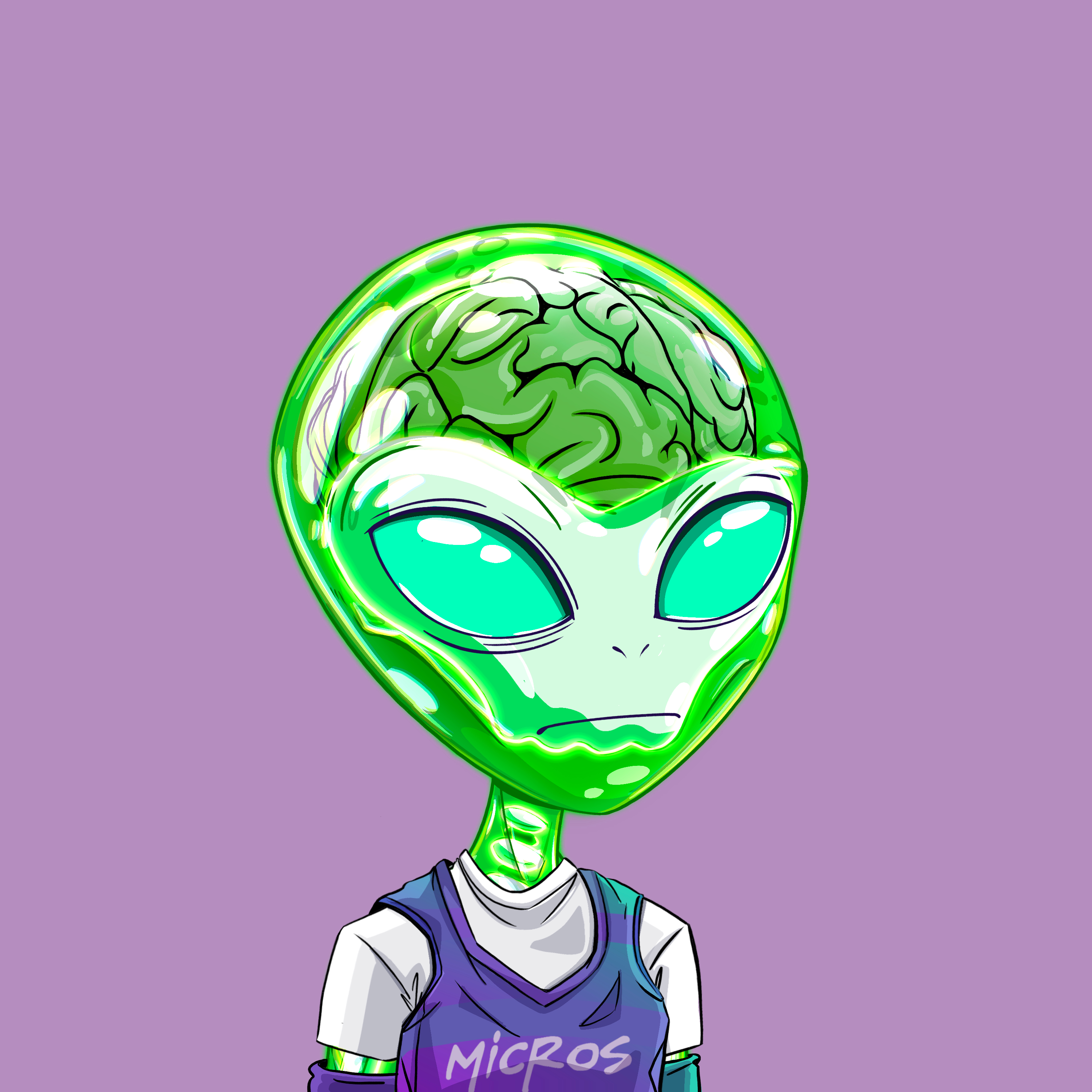 Micros #7776