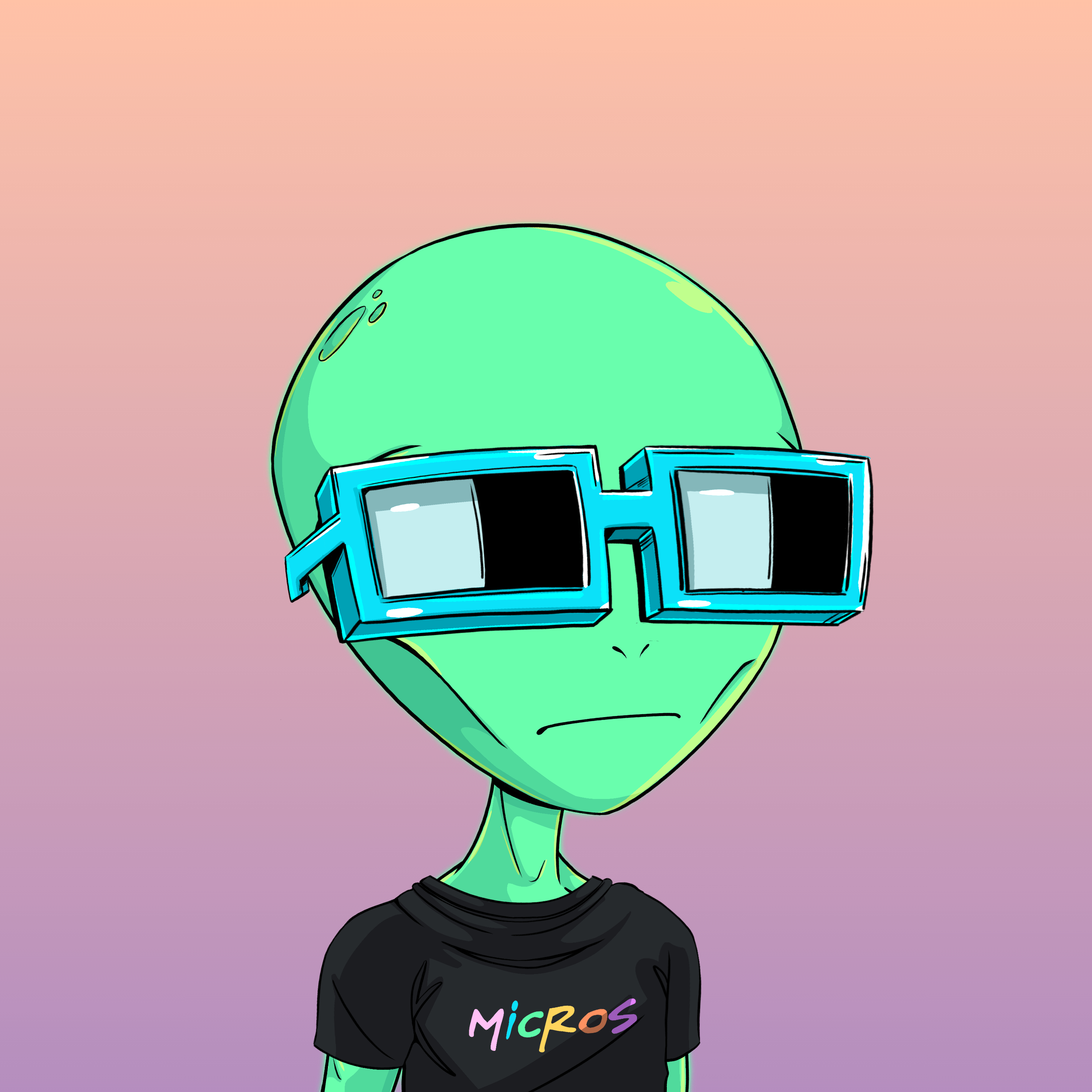 Micros #8483
