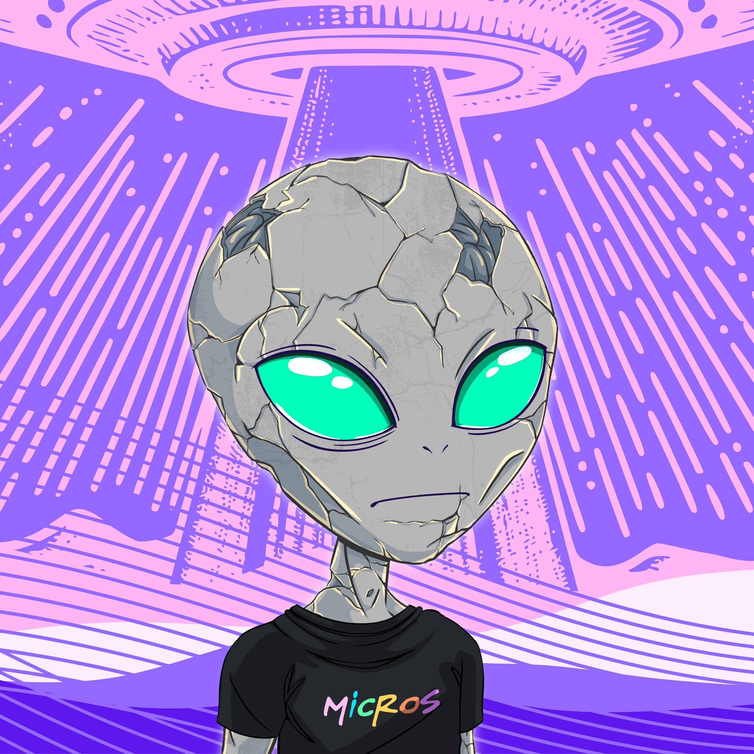 Micros #1132