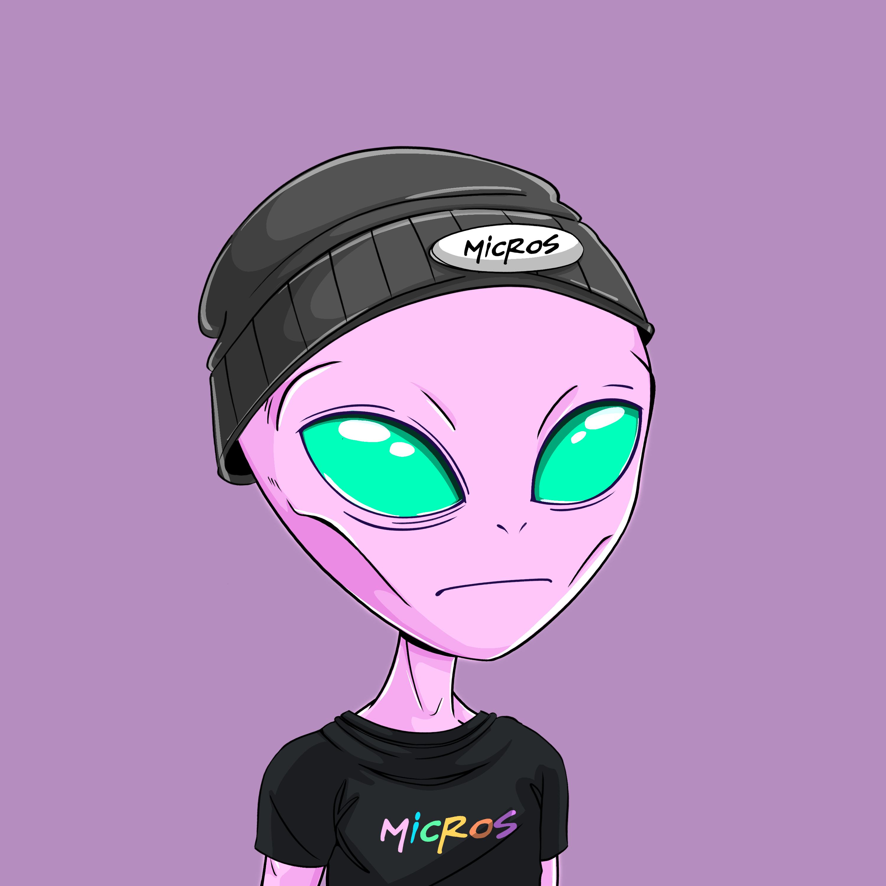 Micros #5938