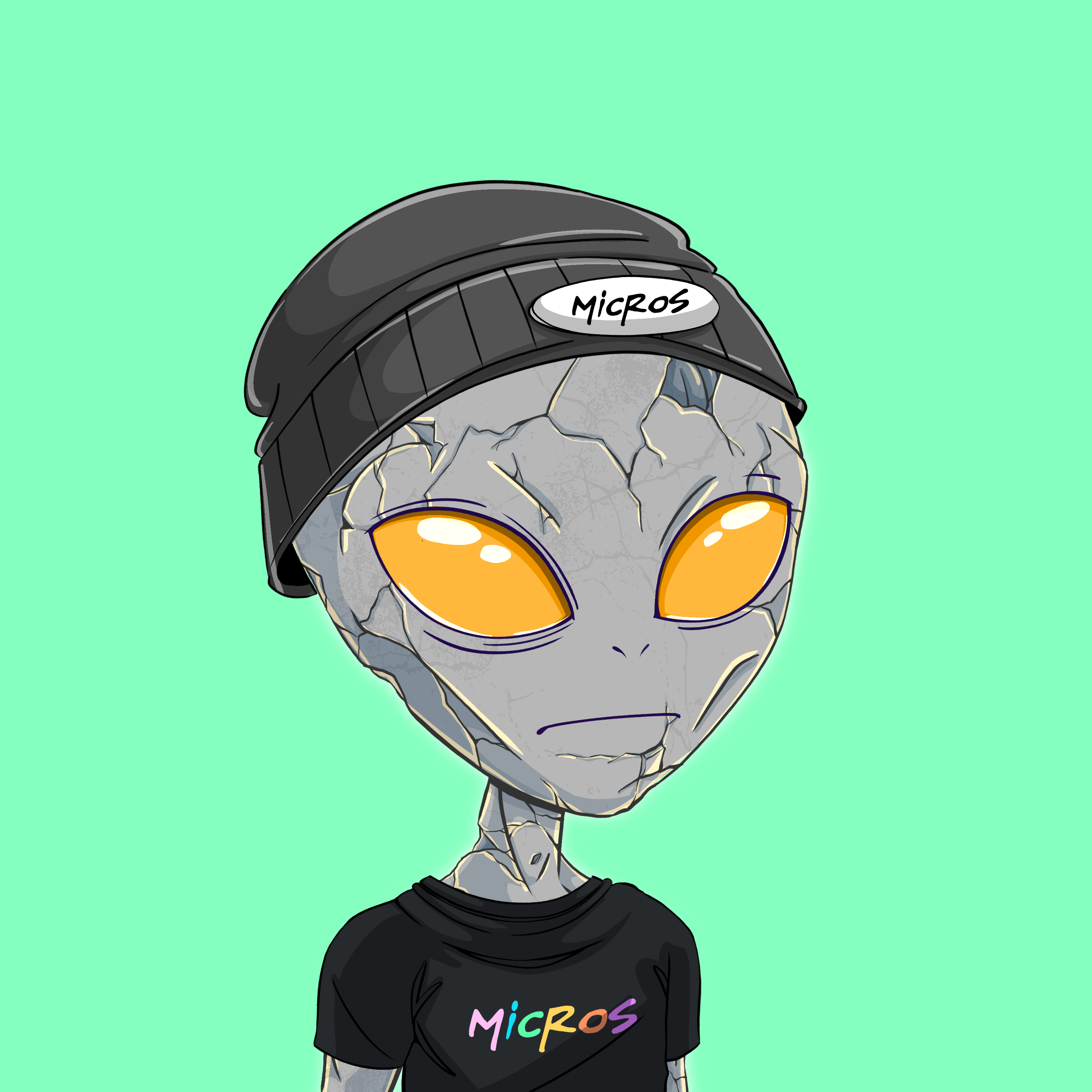 Micros #628