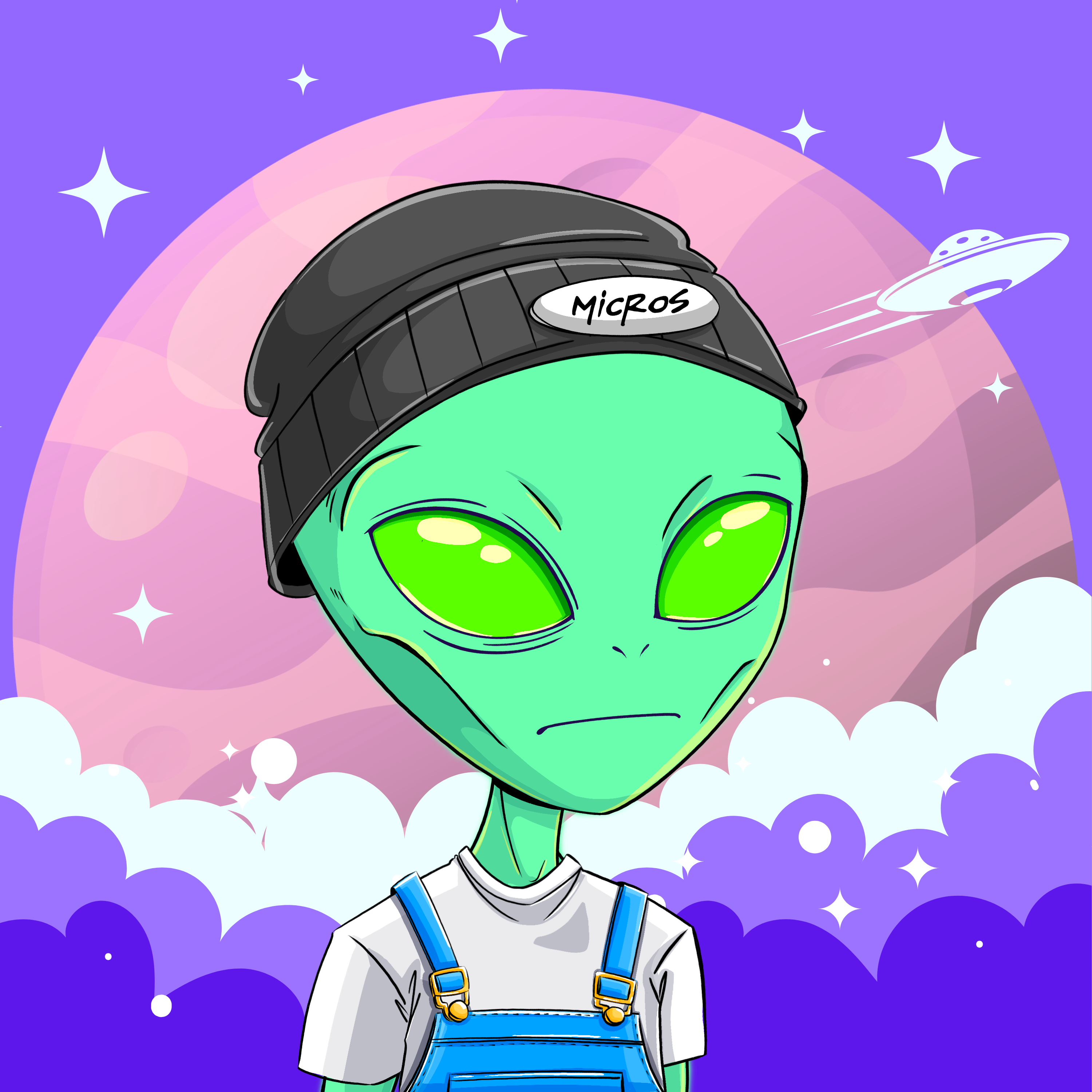 Micros #5210