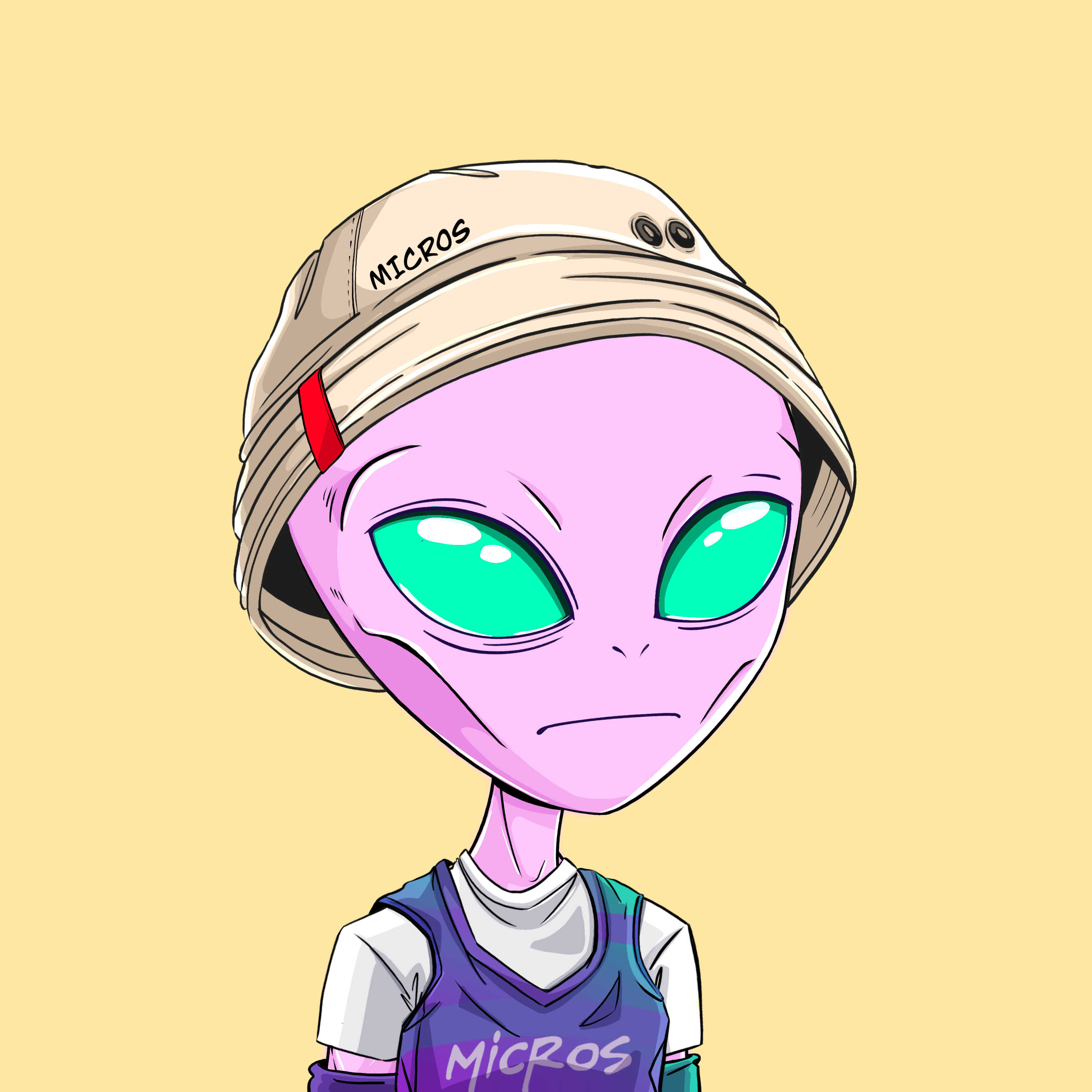 Micros #2047