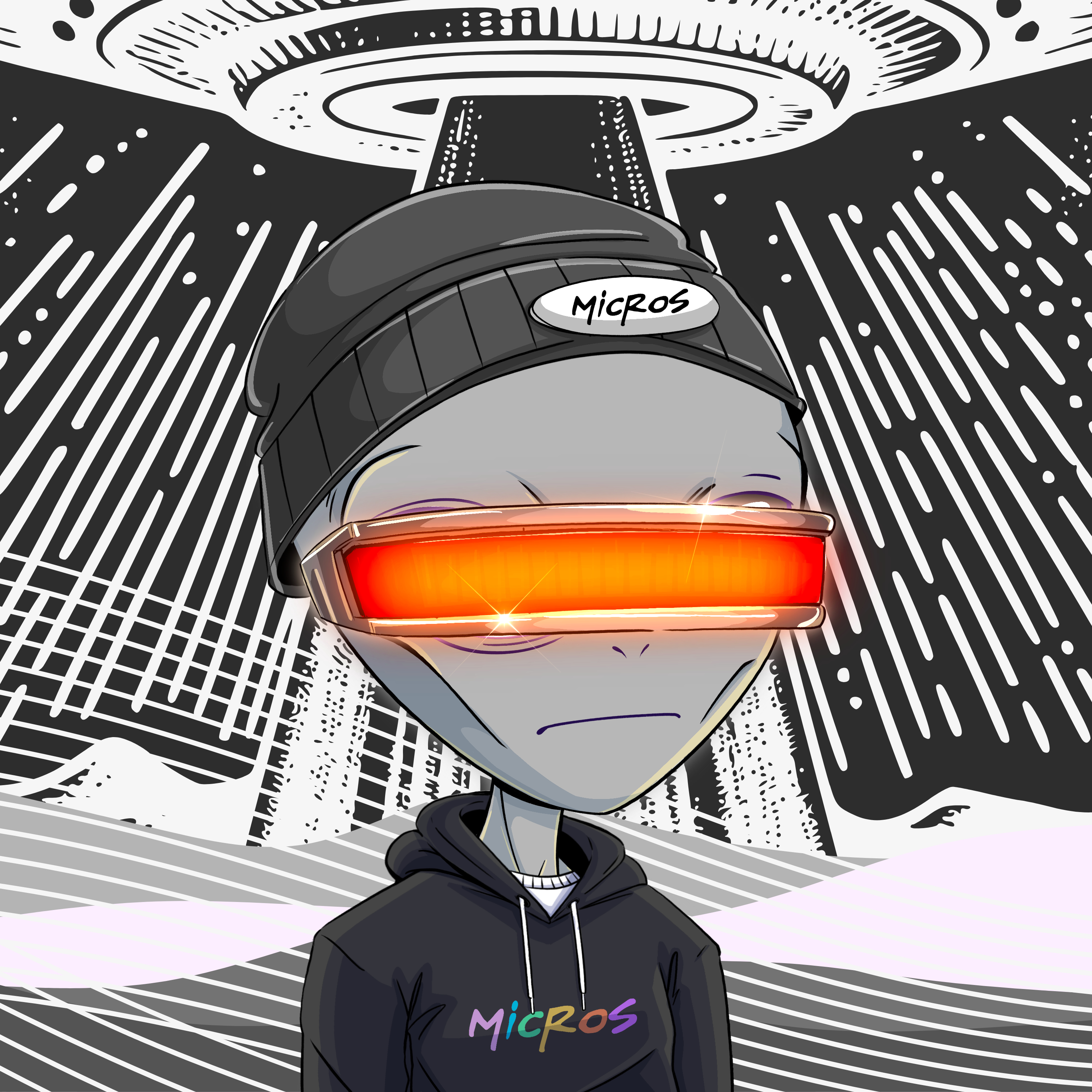 Micros #2590