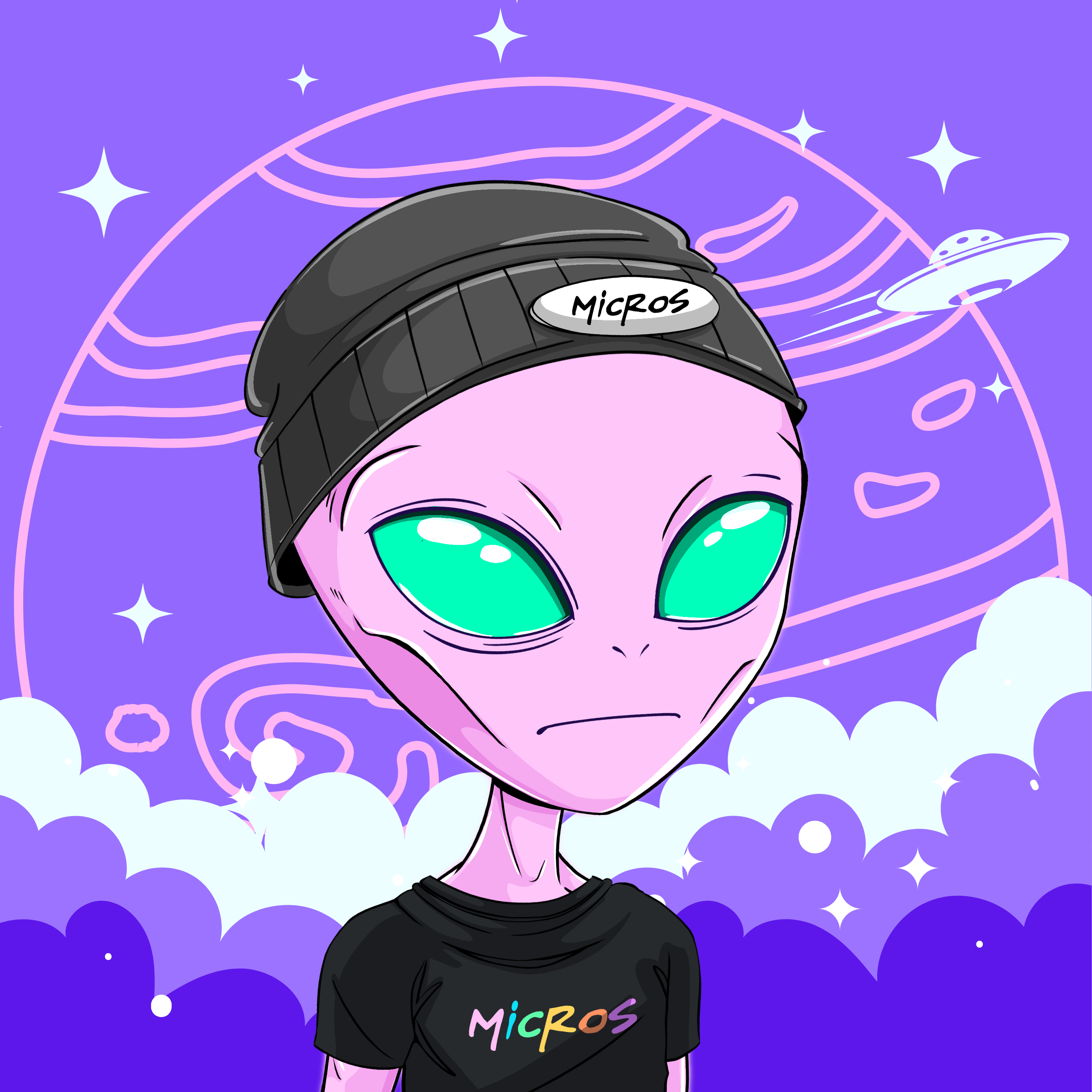 Micros #7131