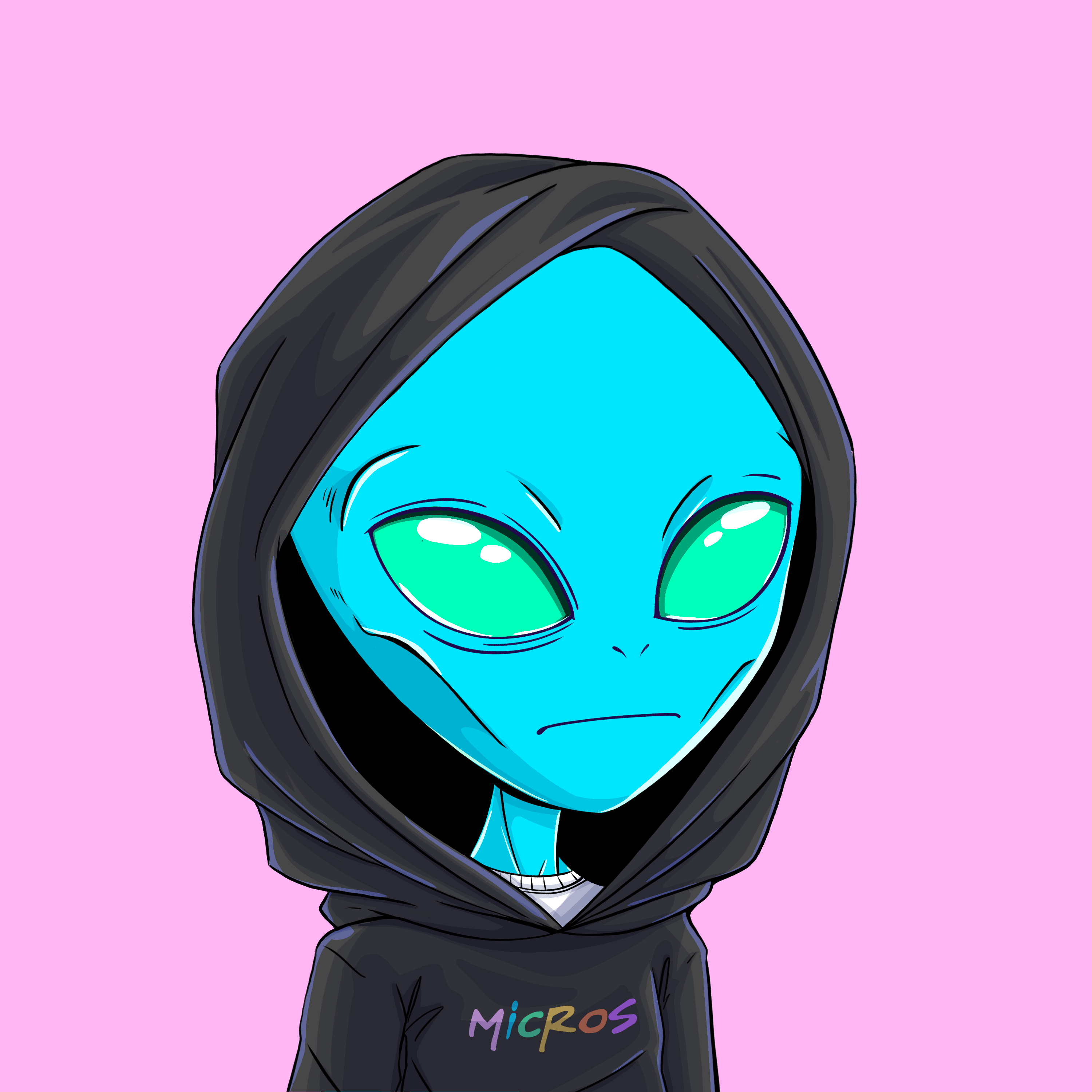 Micros #9572