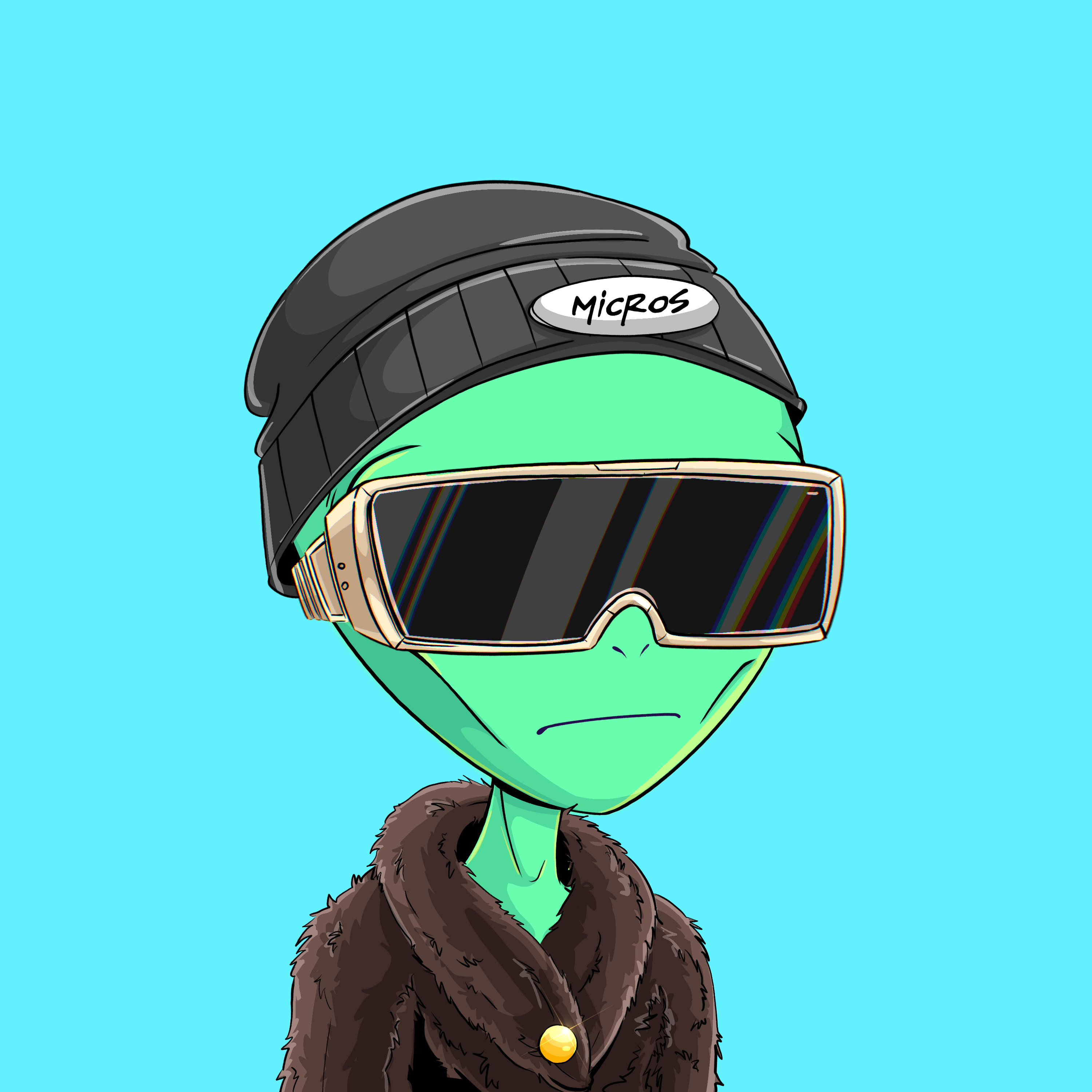 Micros #3646