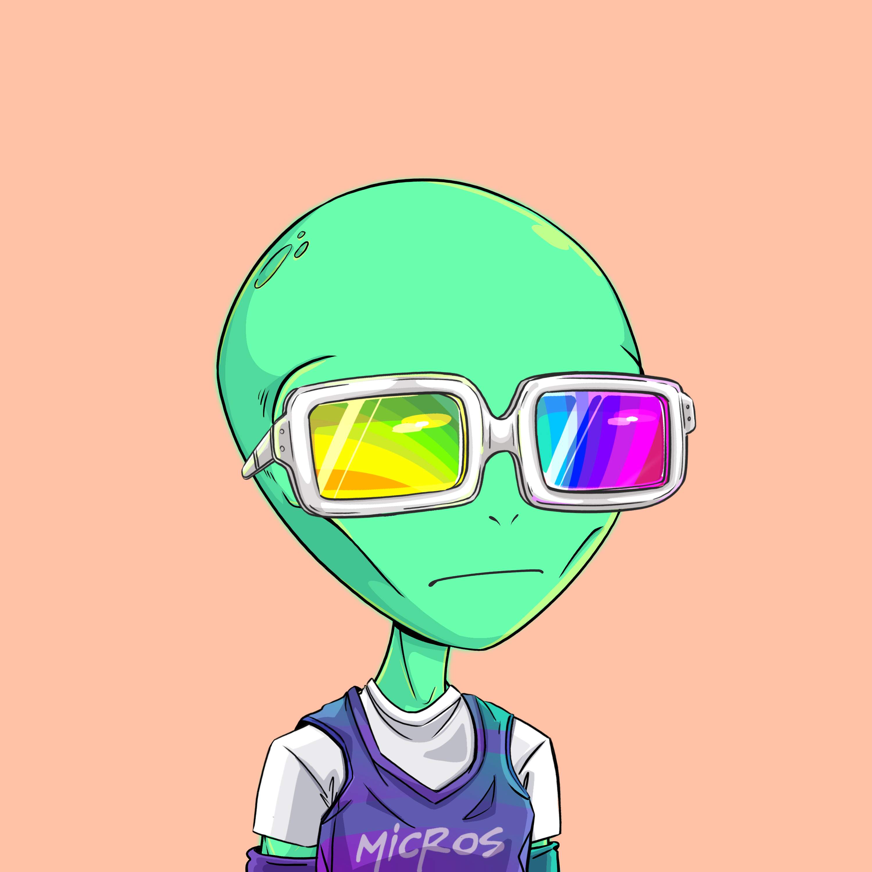 Micros #2978