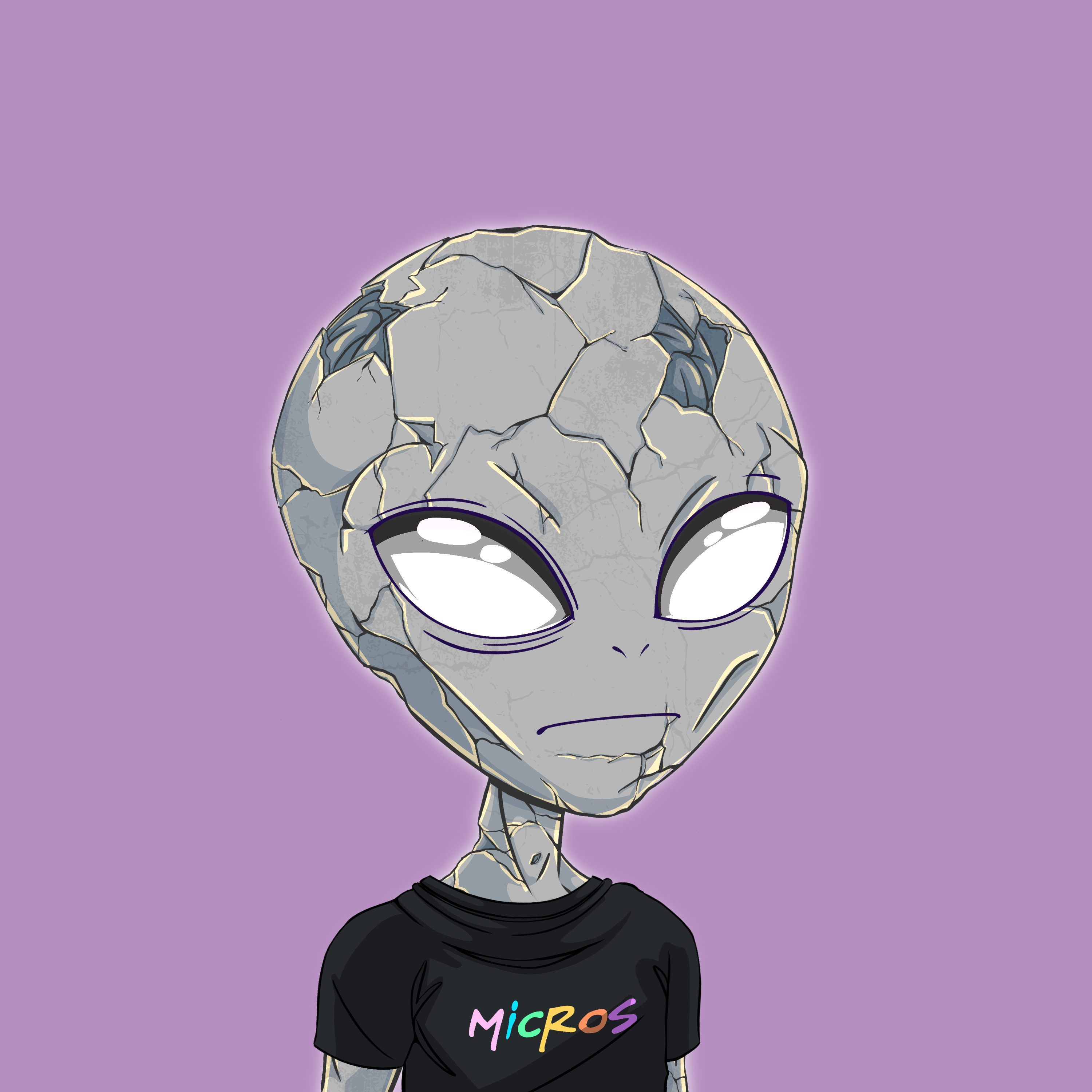 Micros #3701