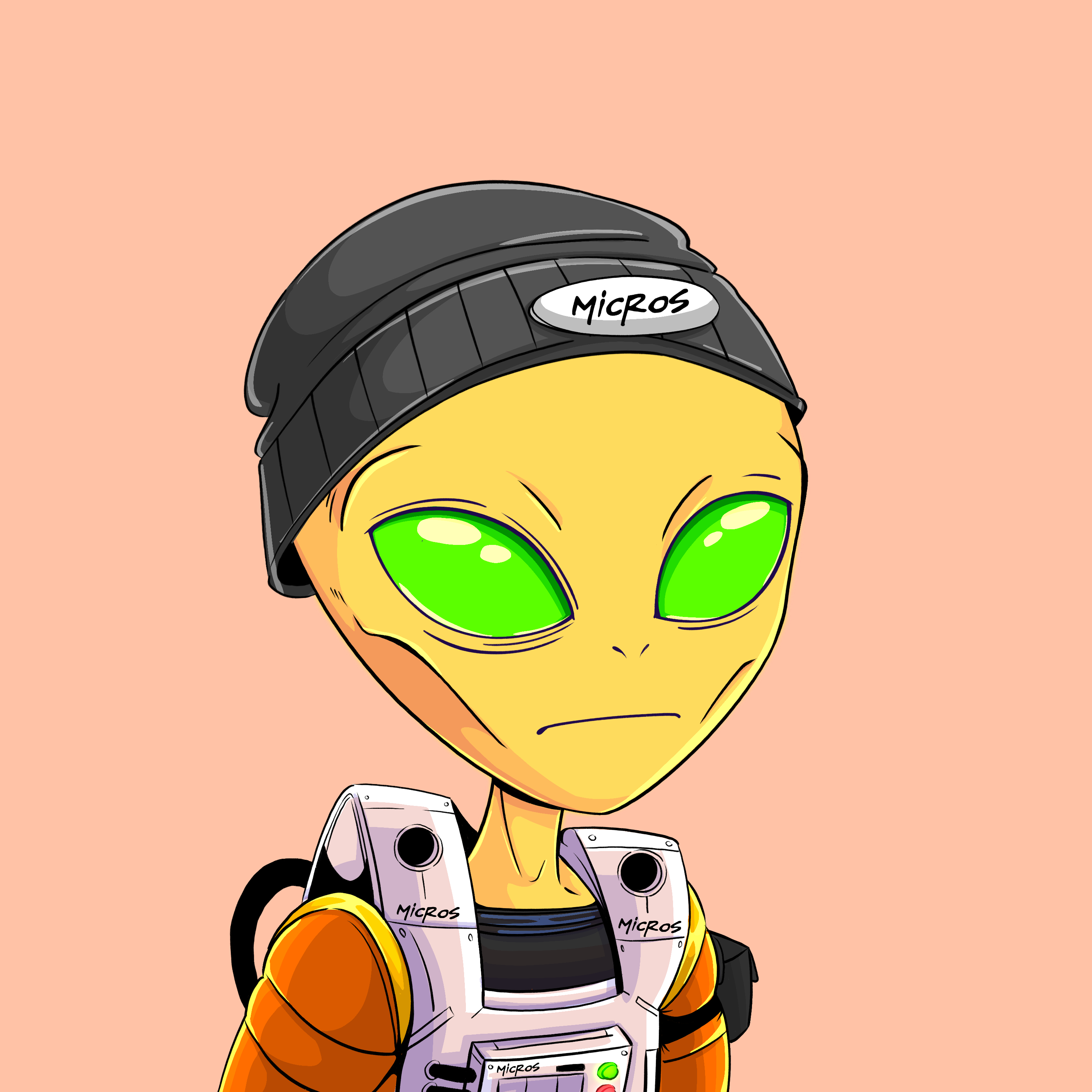 Micros #5465