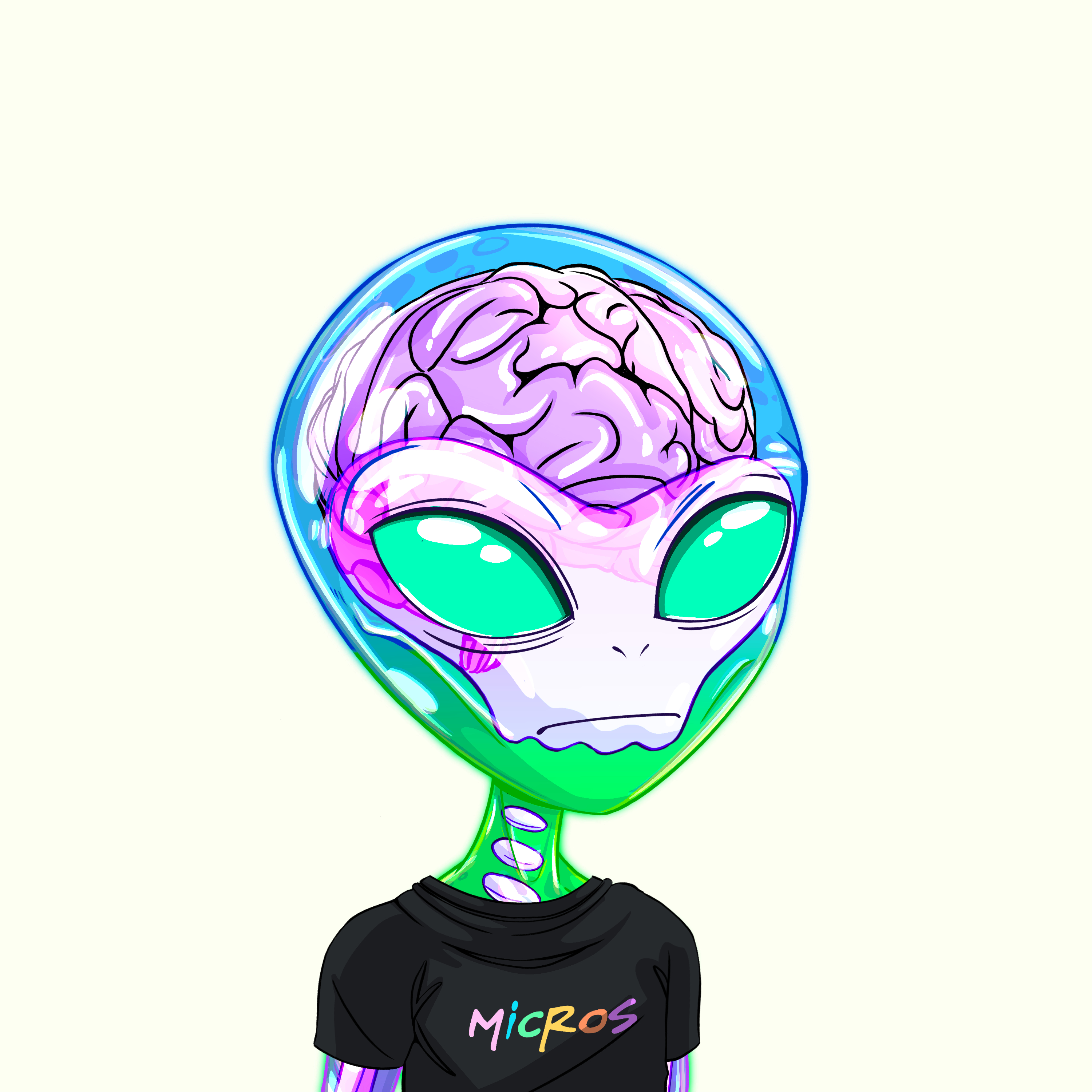 Micros #2046