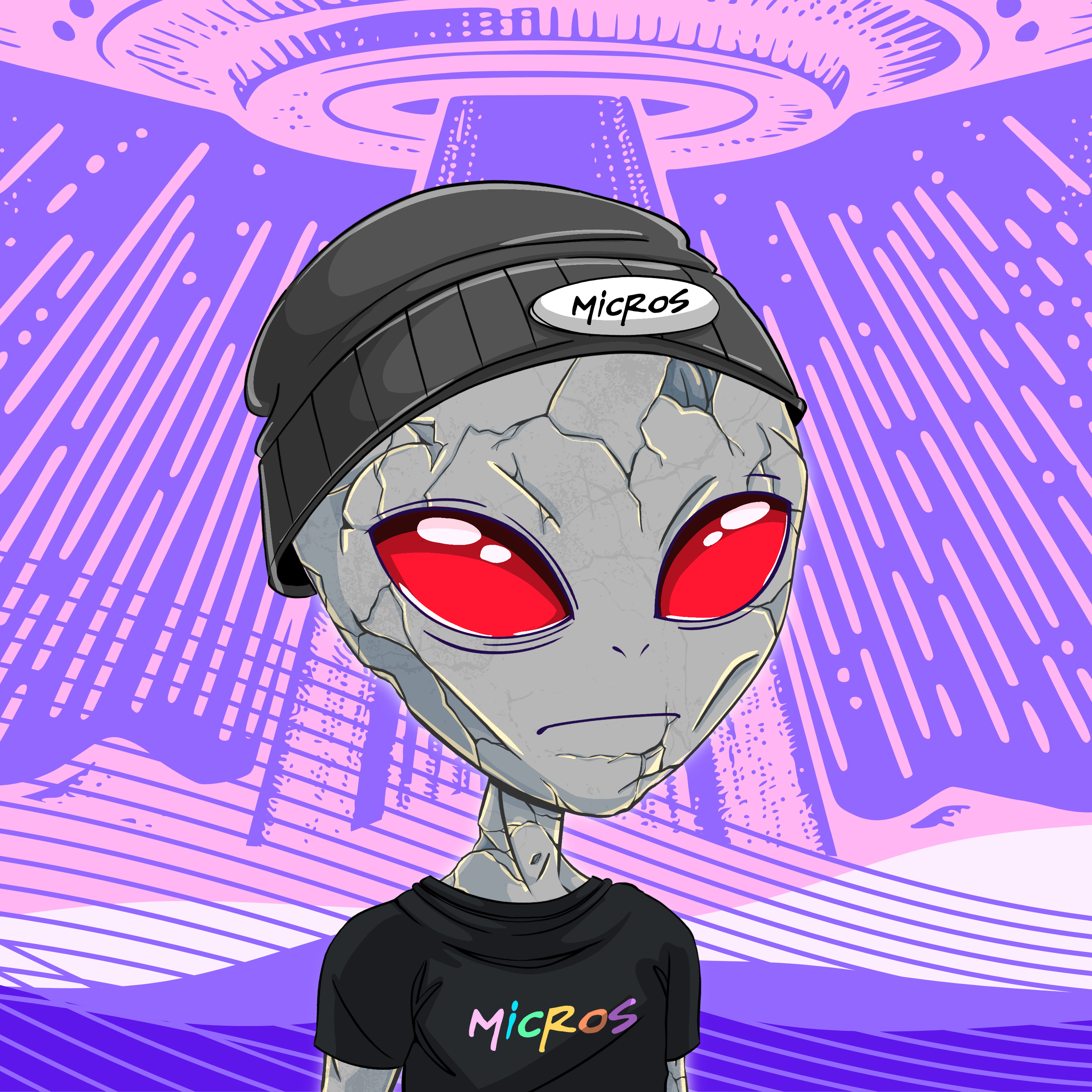 Micros #4734