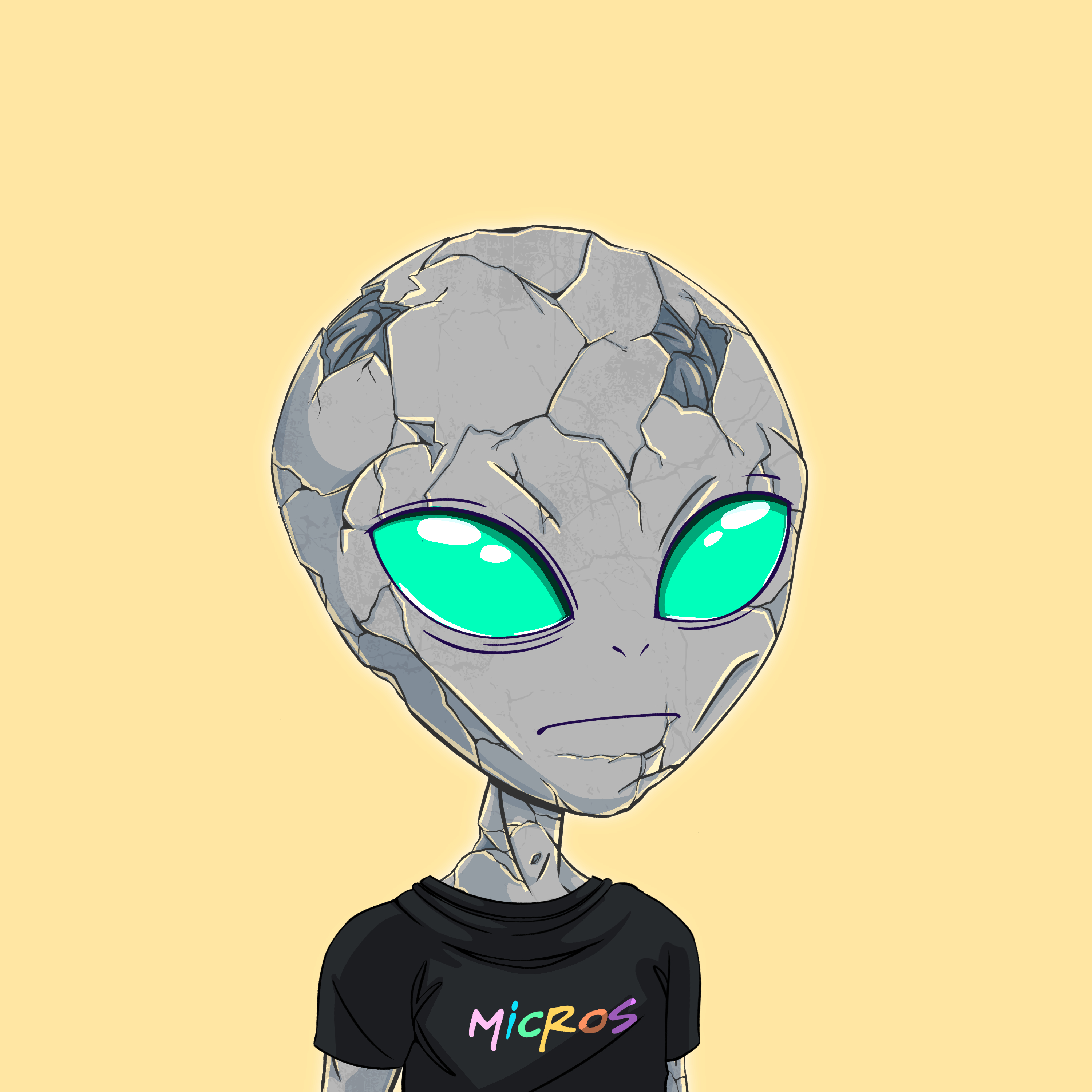 Micros #7080