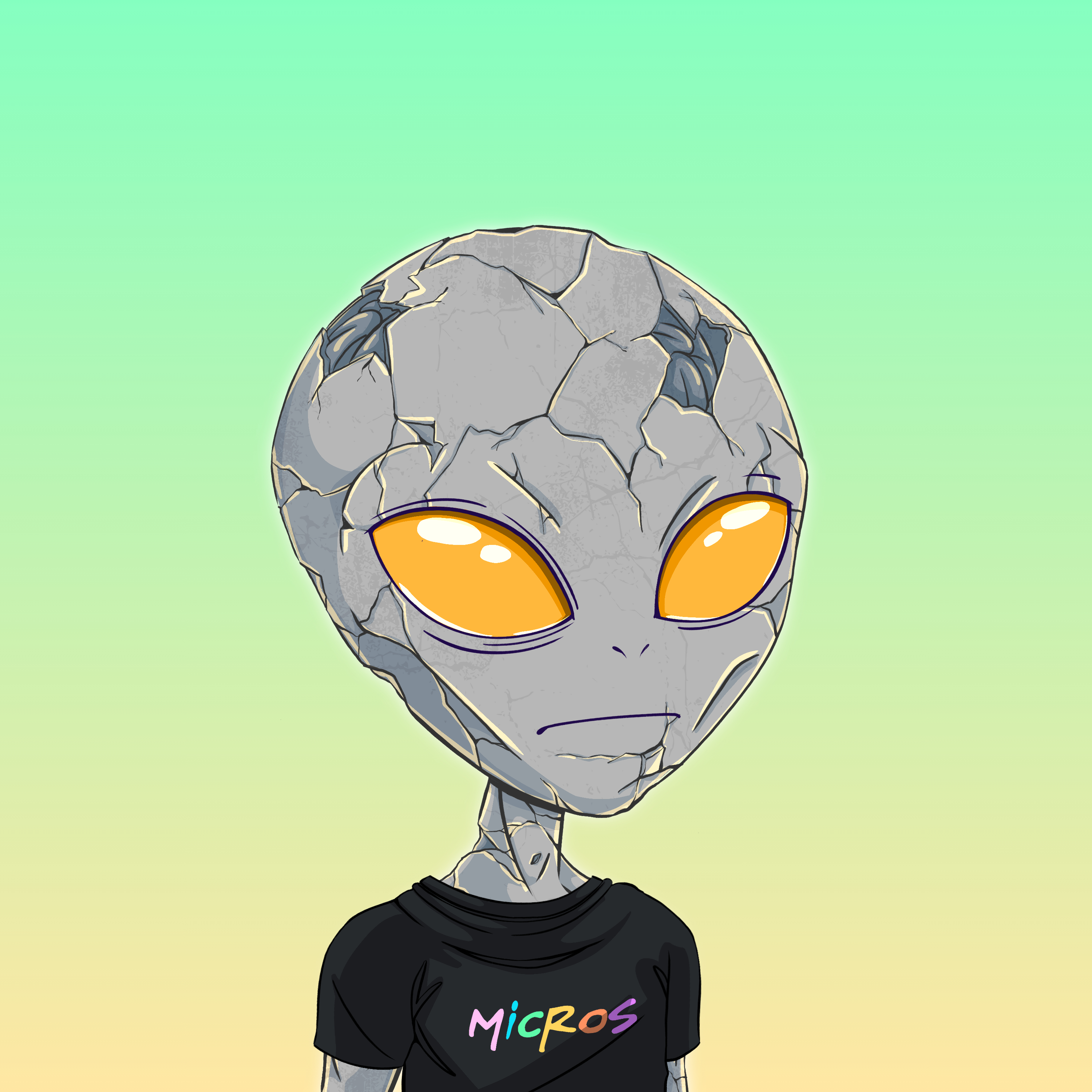 Micros #1431