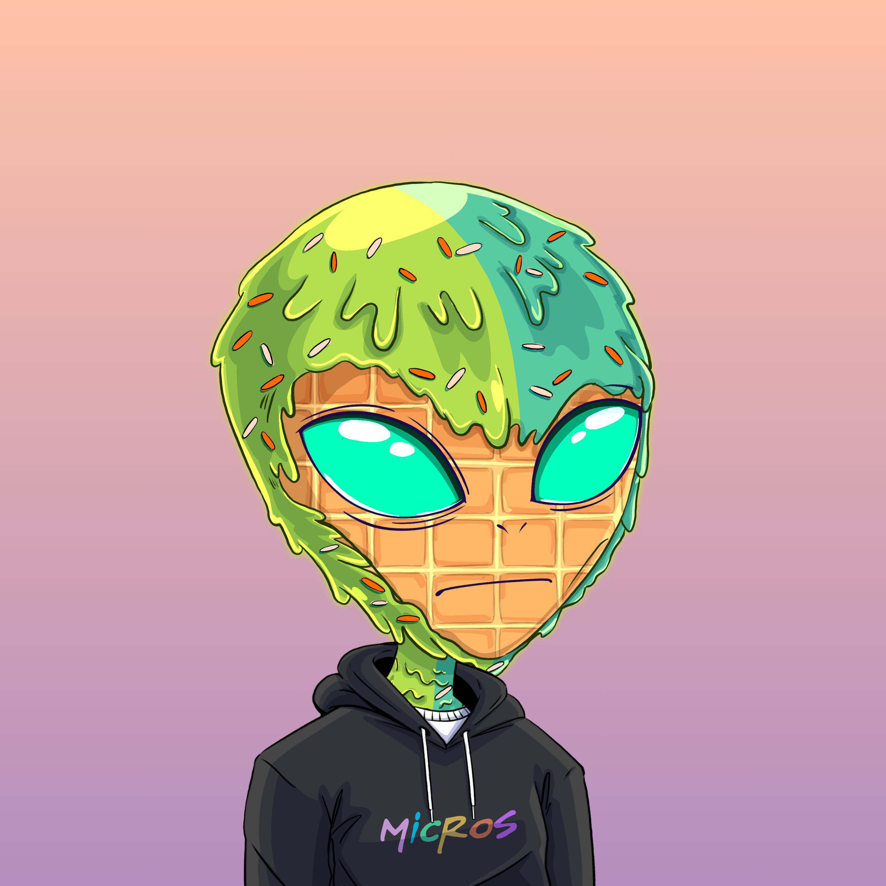 Micros #2066