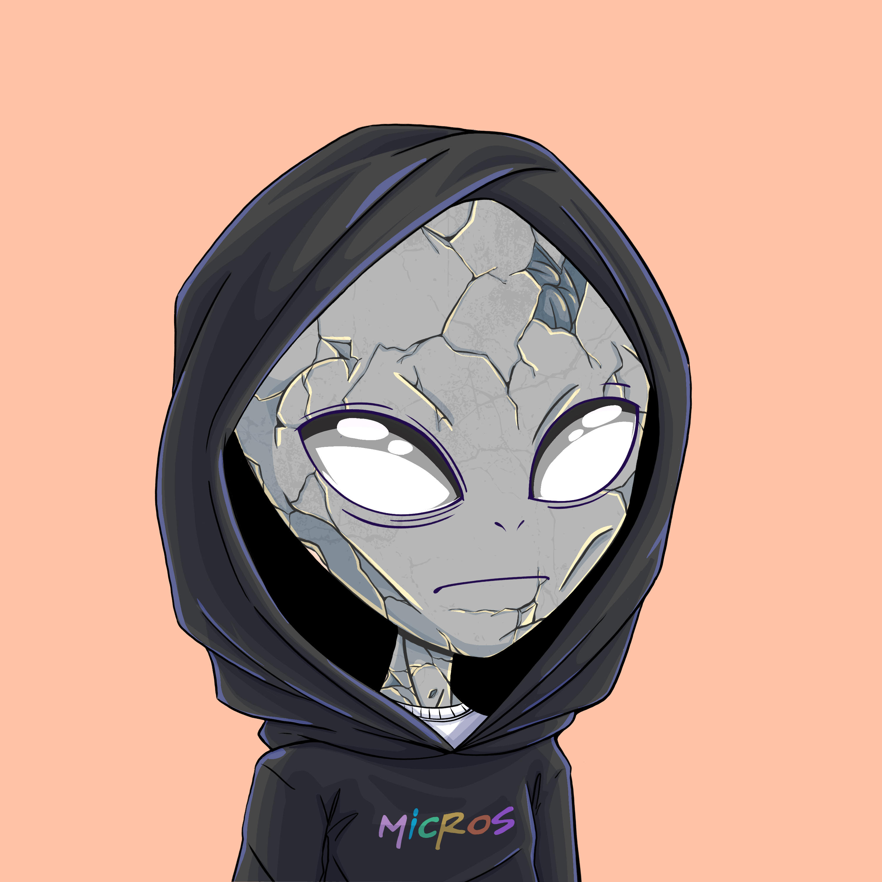 Micros #9815