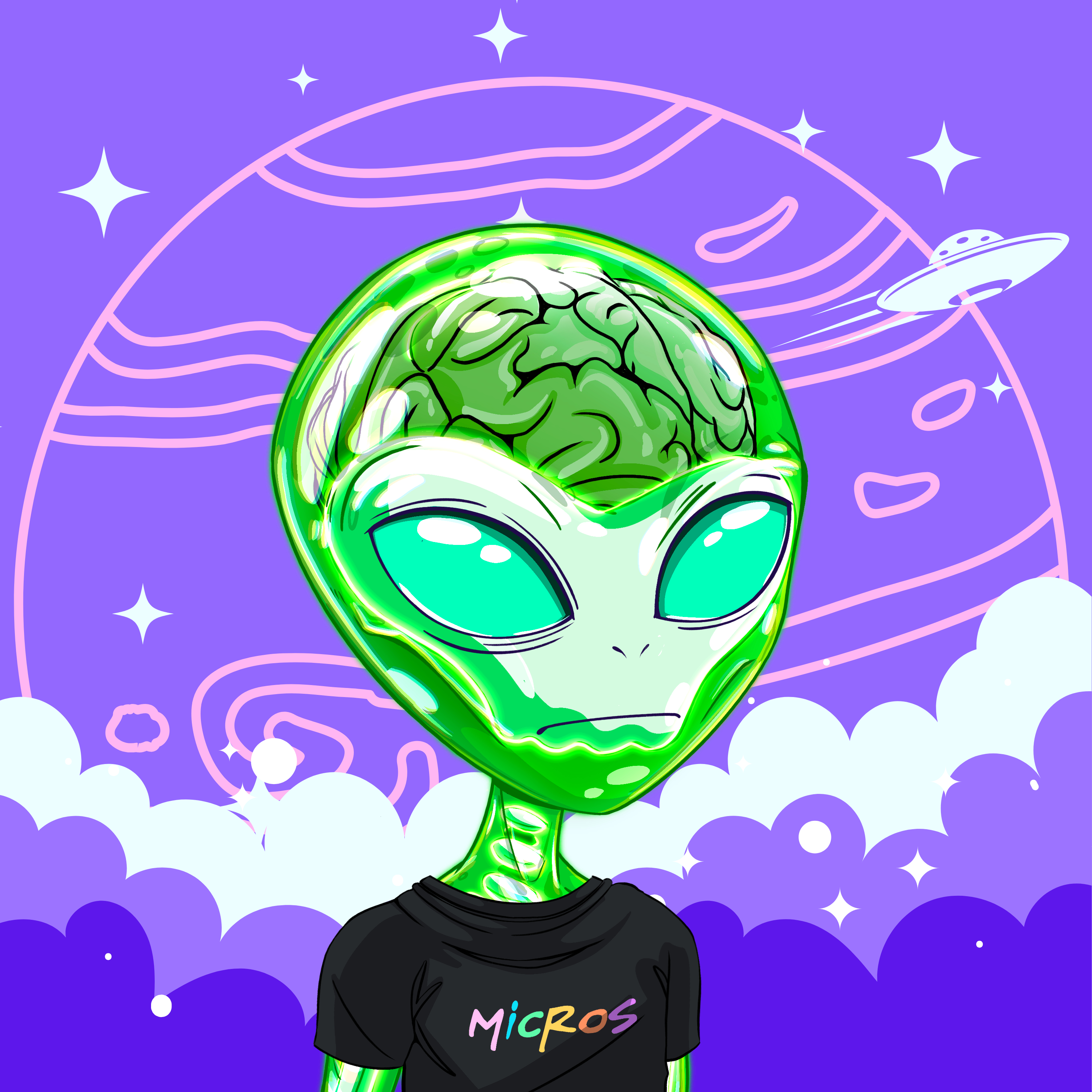Micros #4572