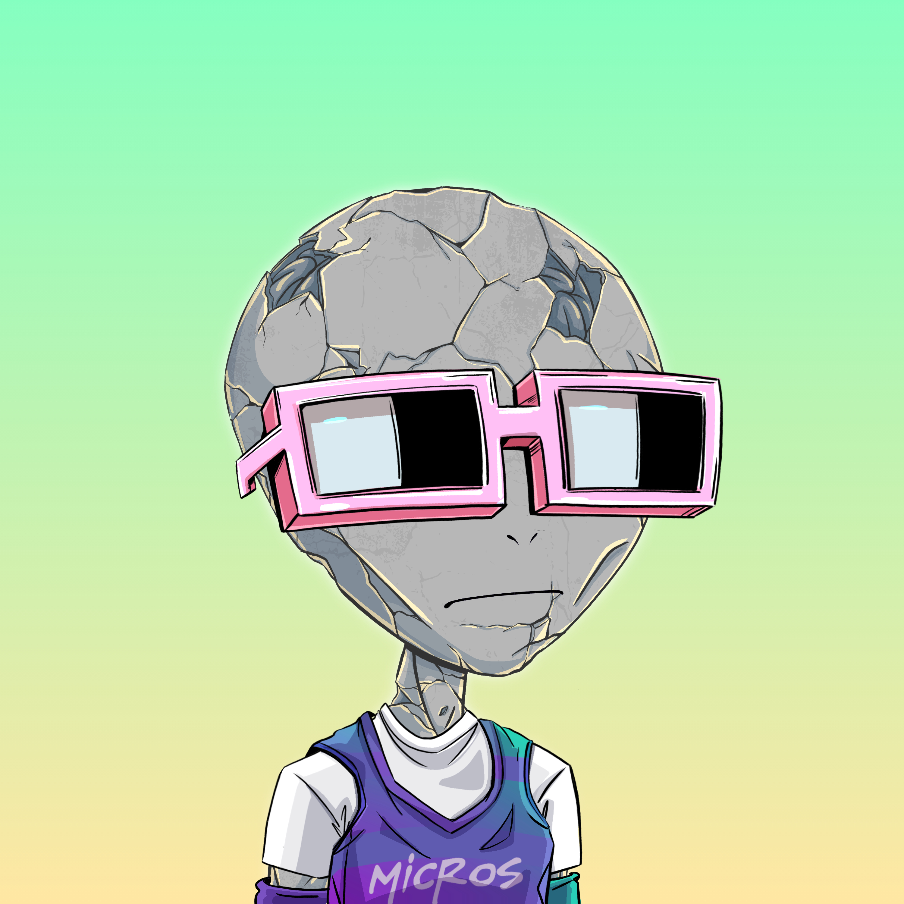 Micros #1219