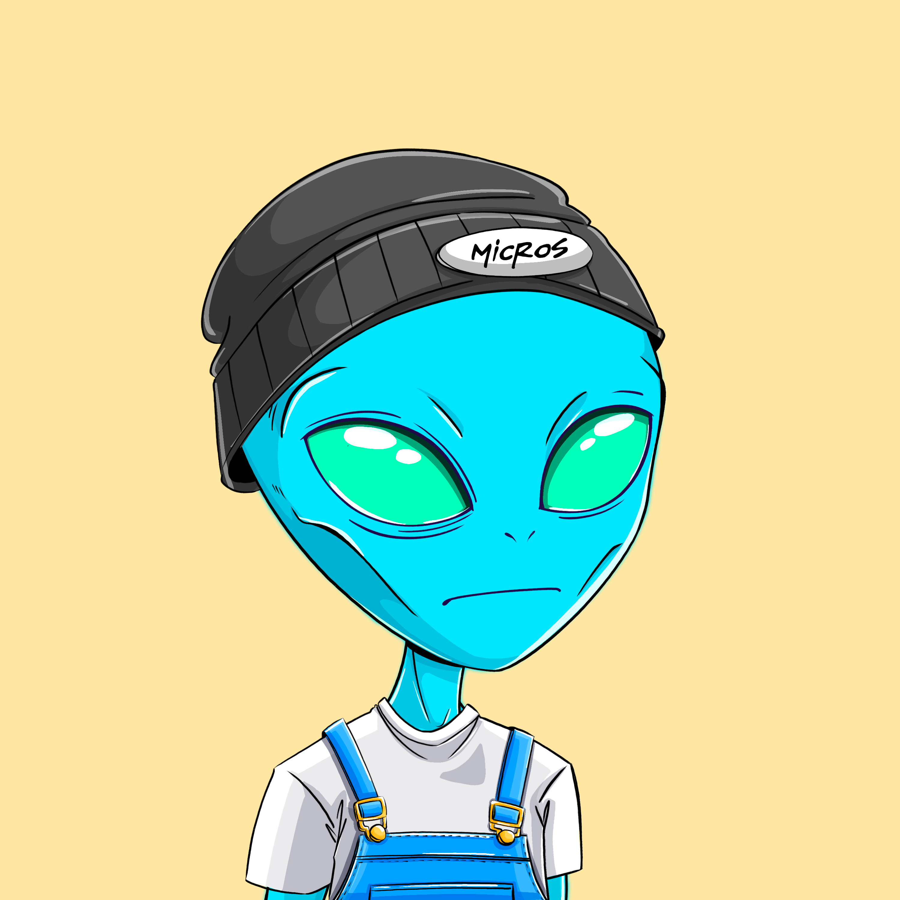 Micros #2136