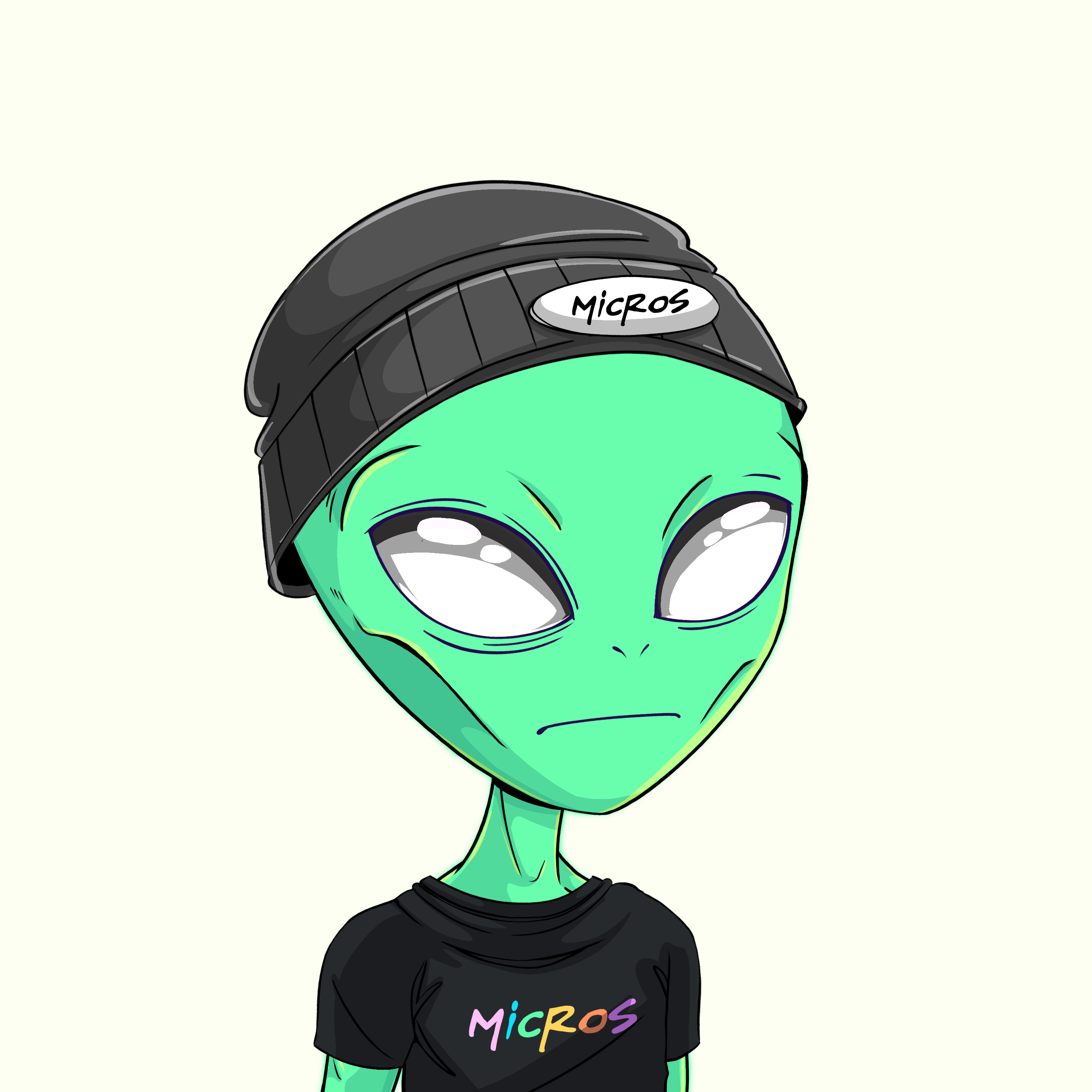 Micros #3913