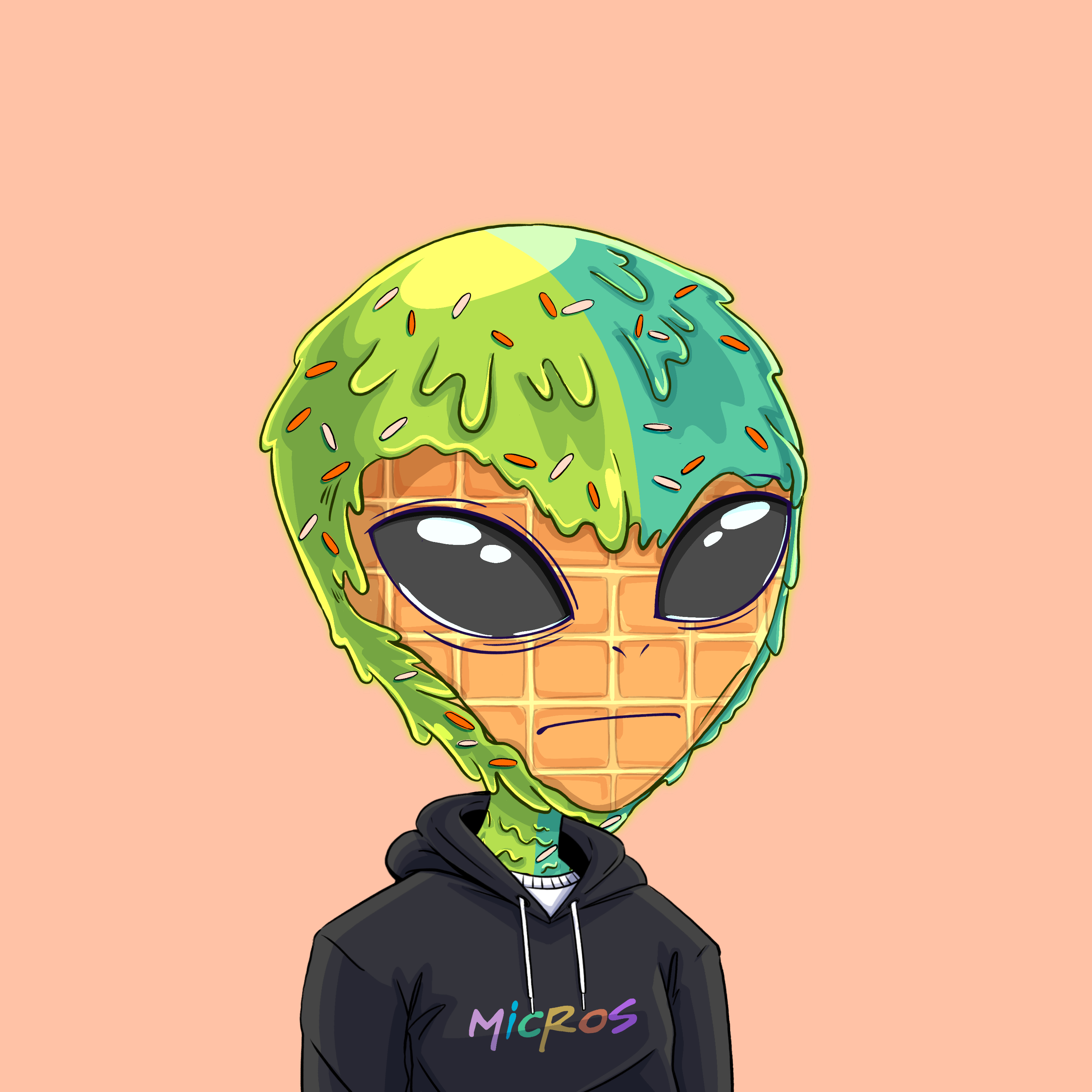 Micros #2039