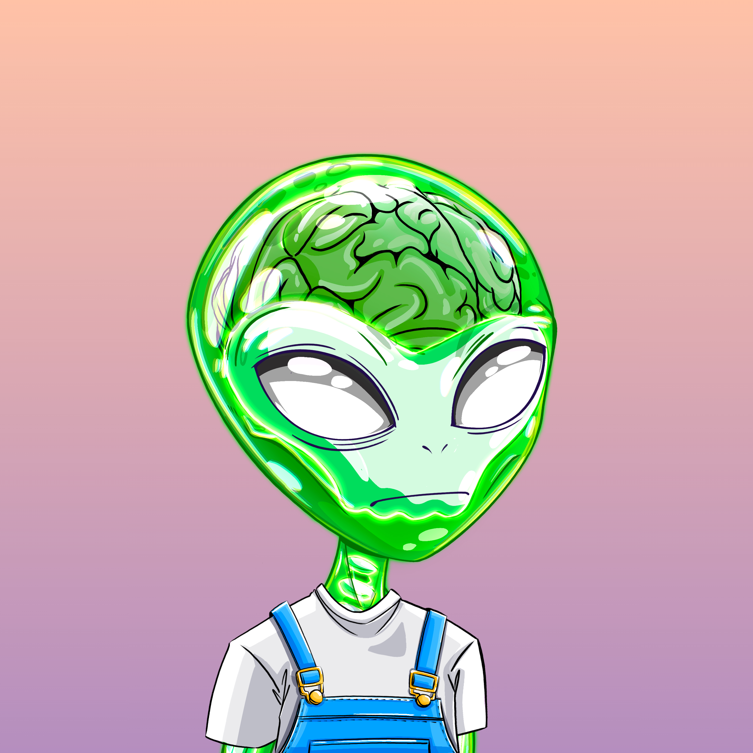 Micros #527