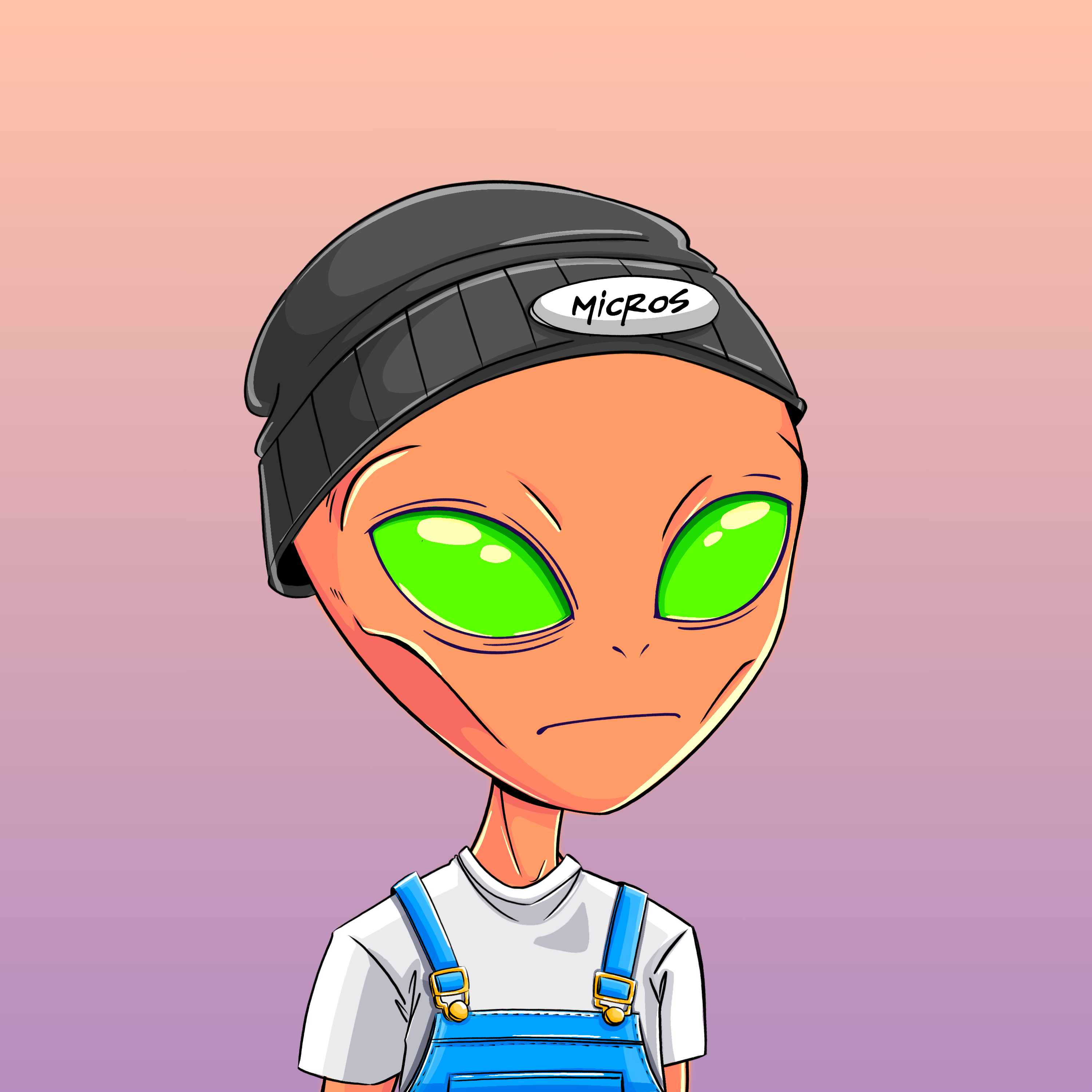 Micros #2798