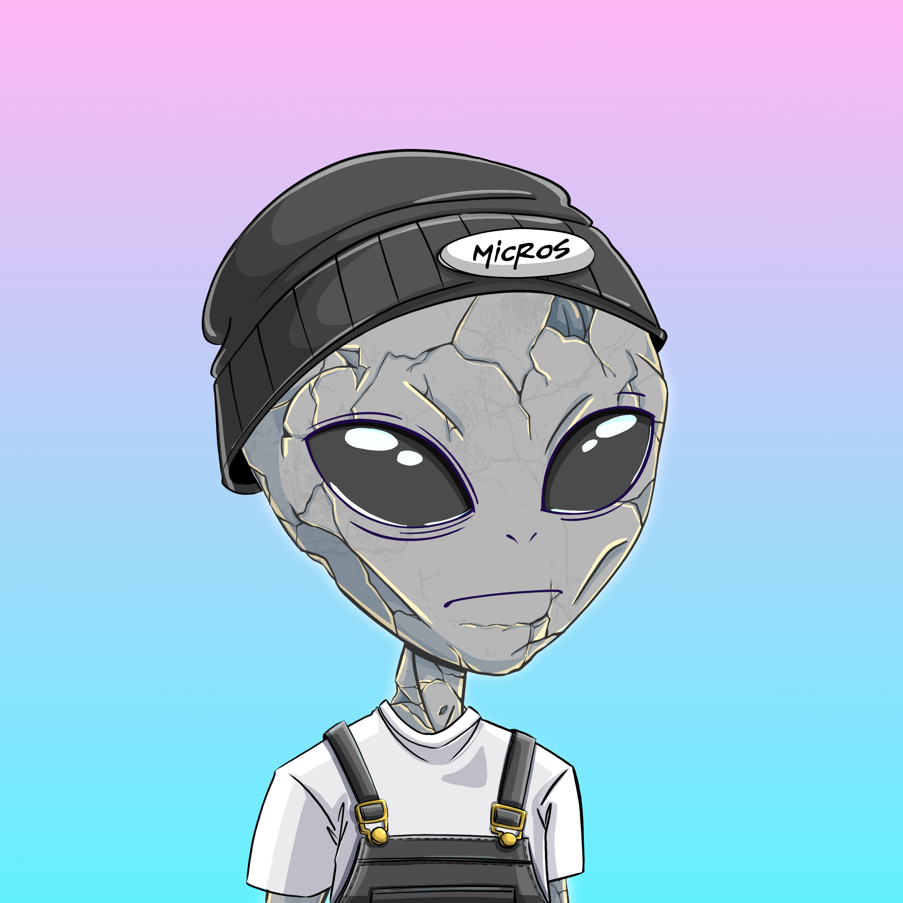 Micros #1517