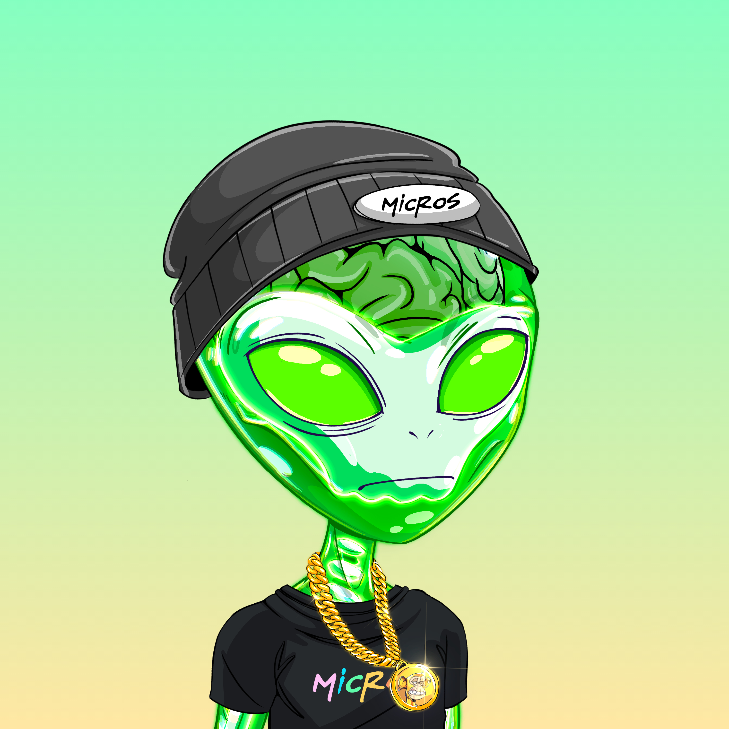 Micros #7886