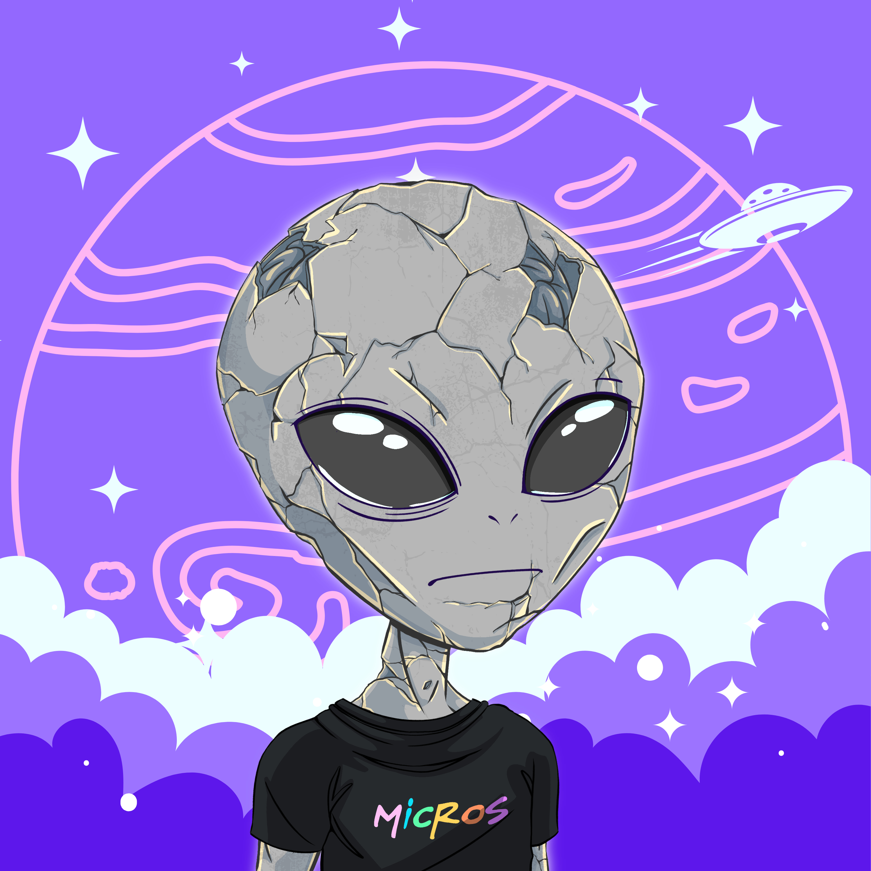 Micros #4452