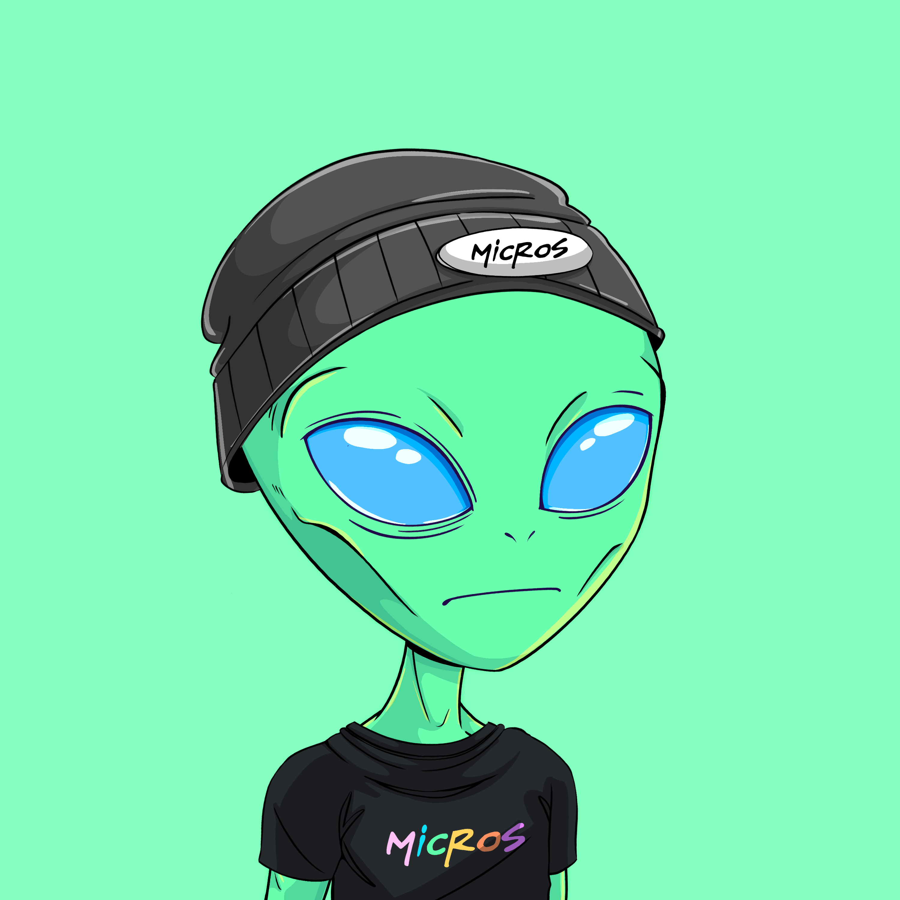 Micros #9484