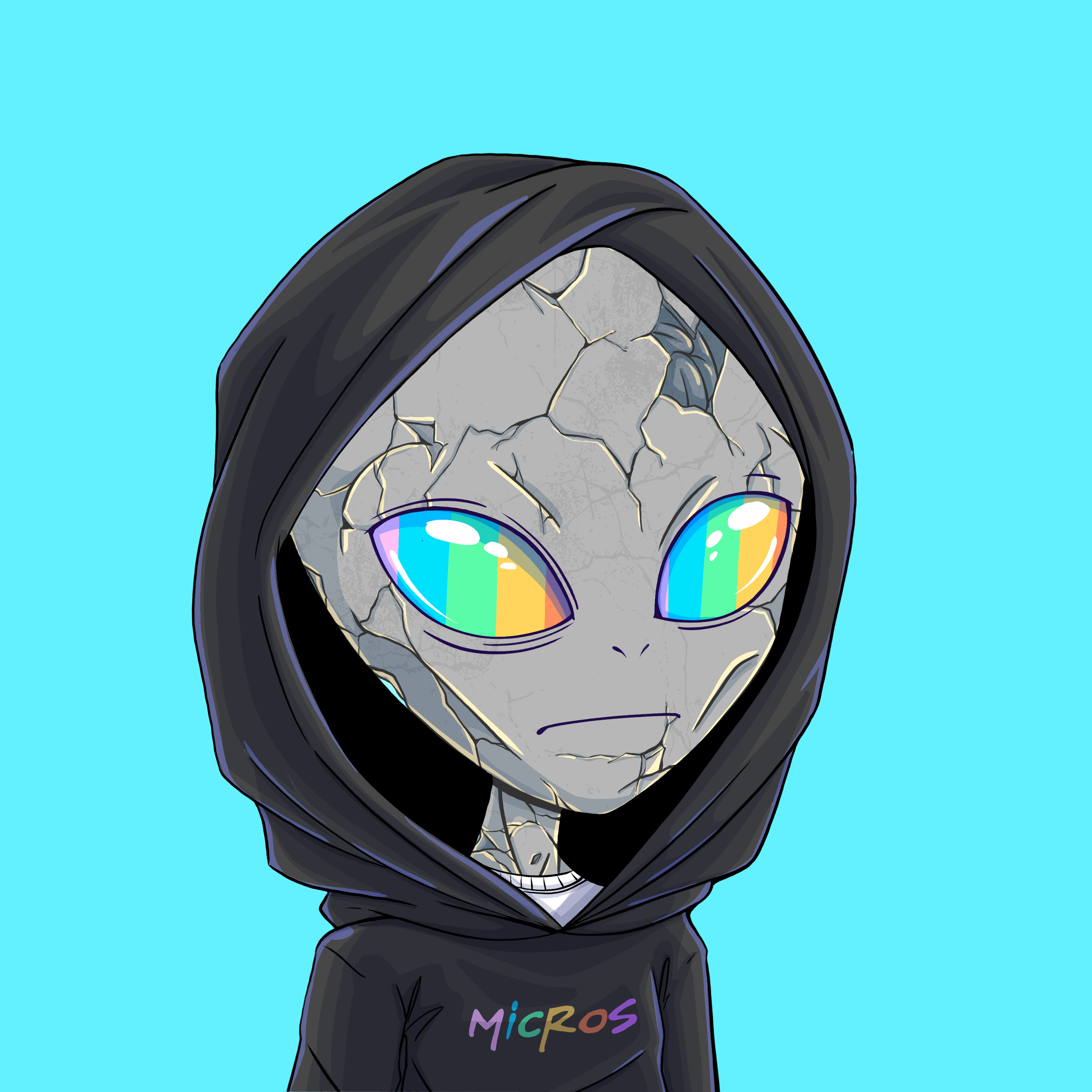 Micros #6145