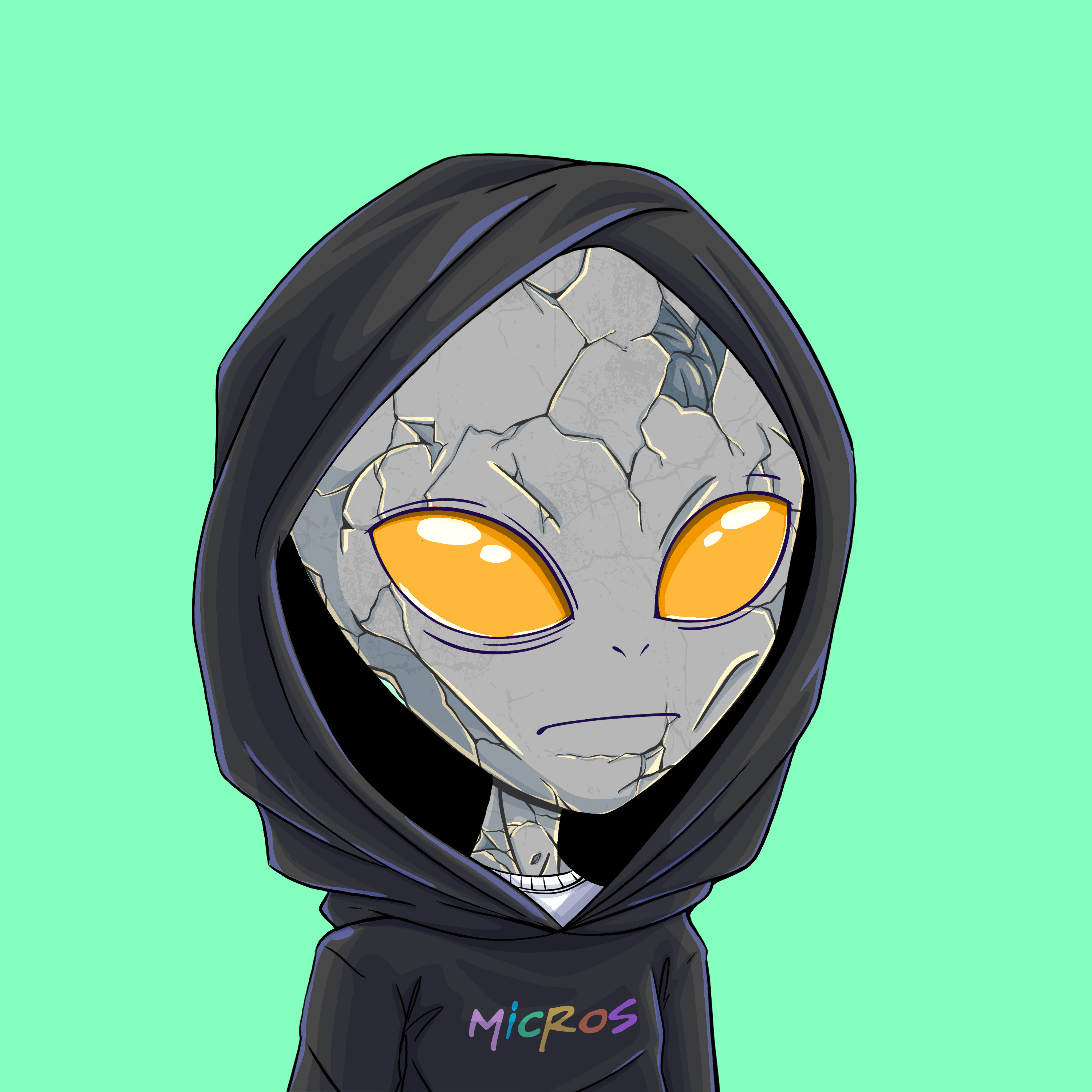 Micros #4943