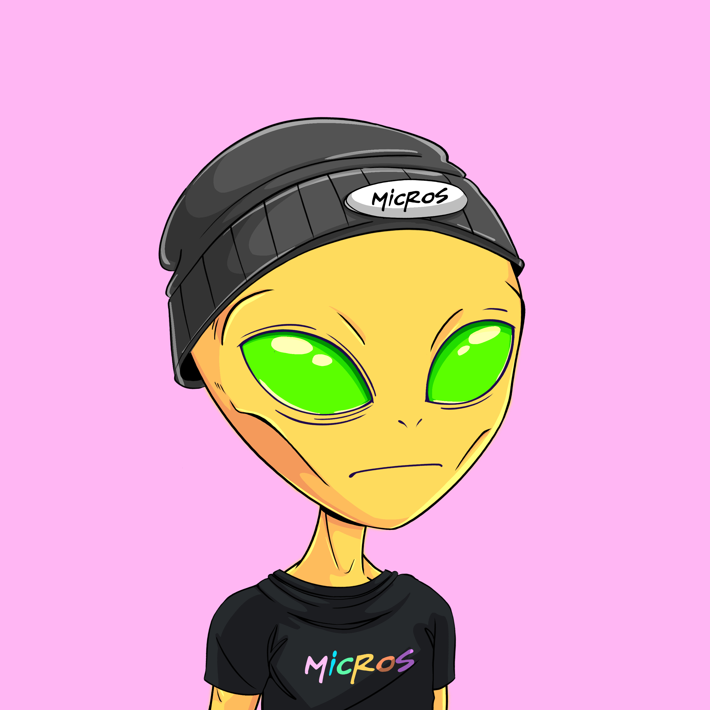 Micros #4859
