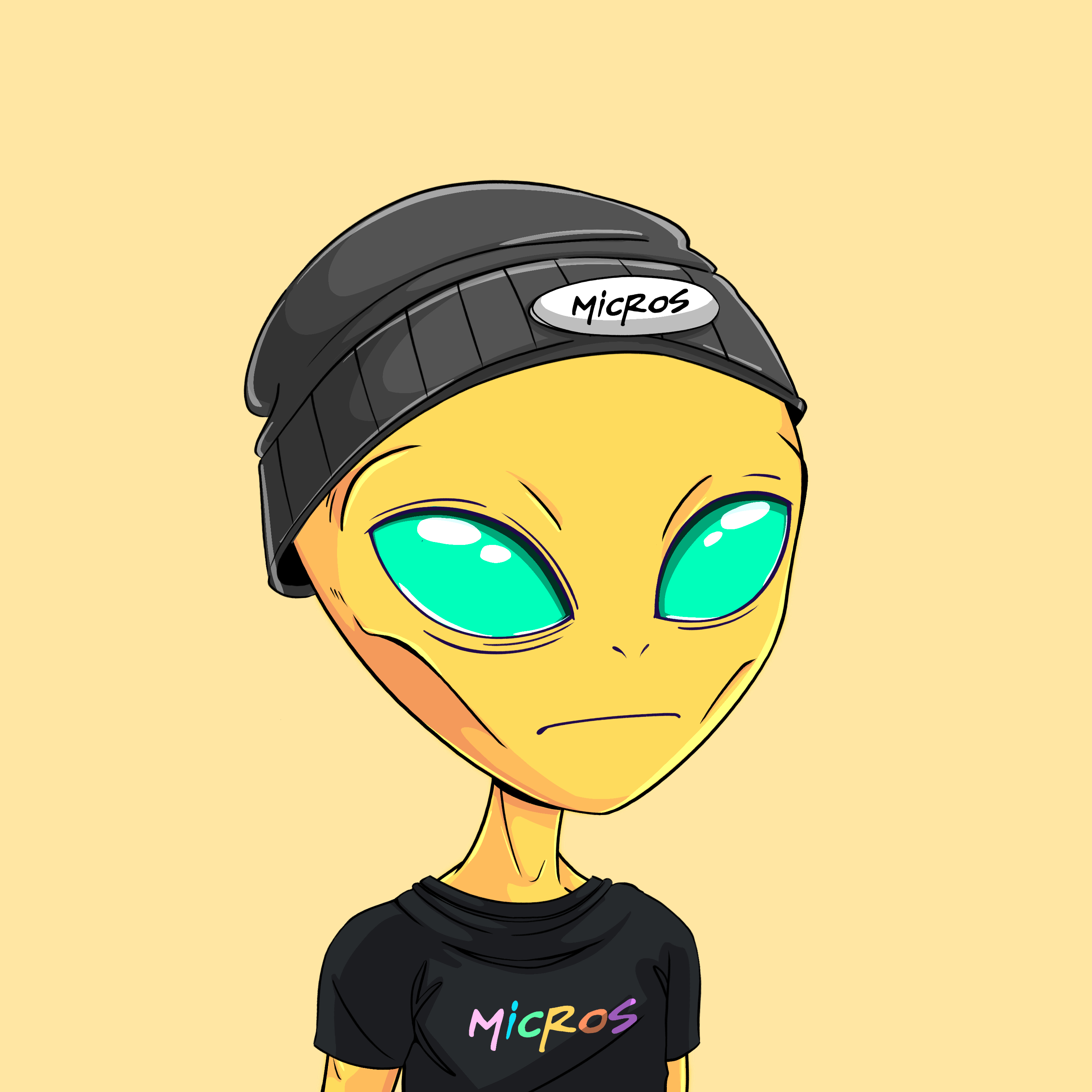 Micros #1244