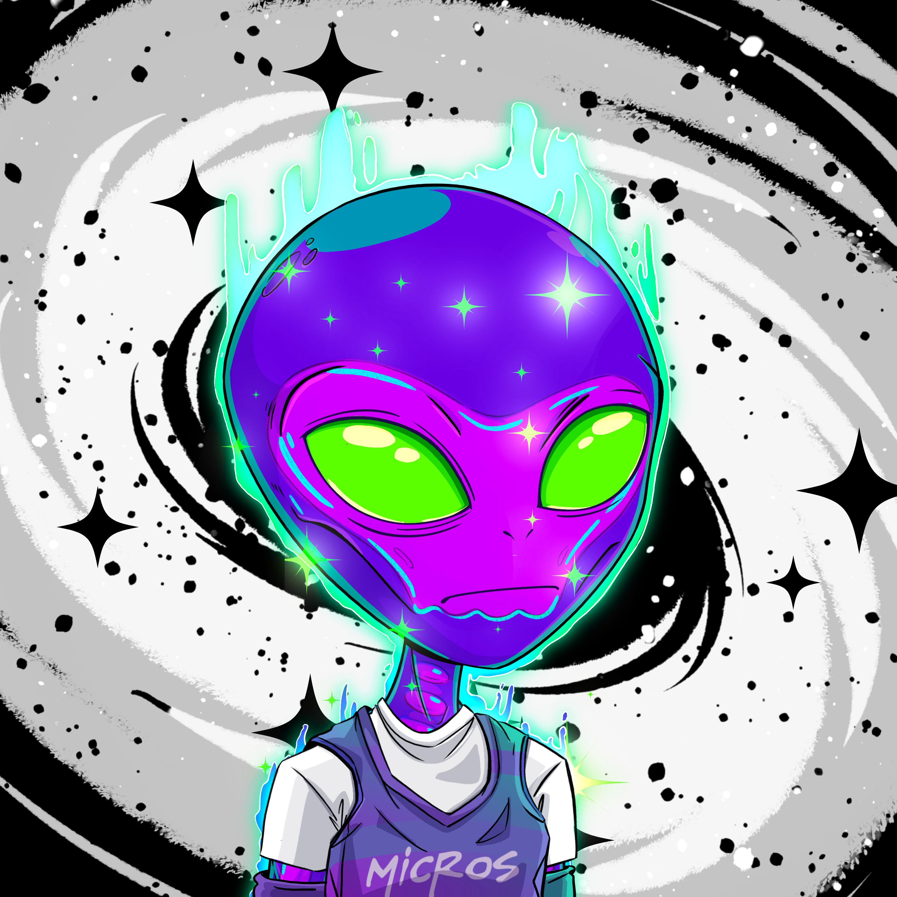 Micros #2176