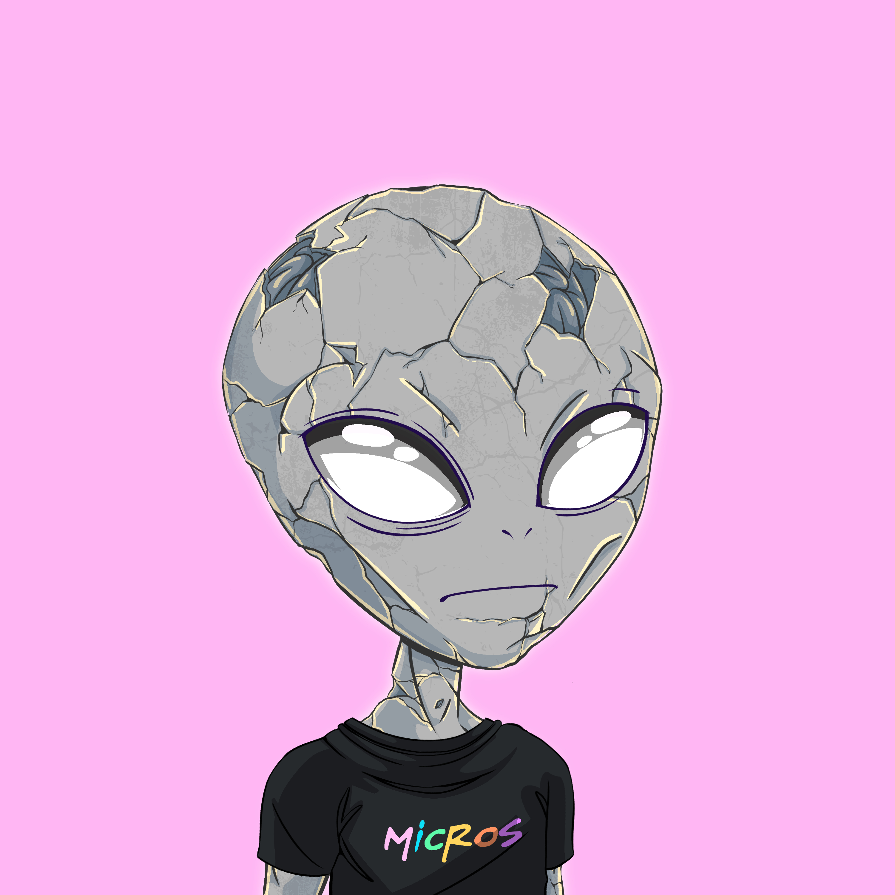 Micros #5870