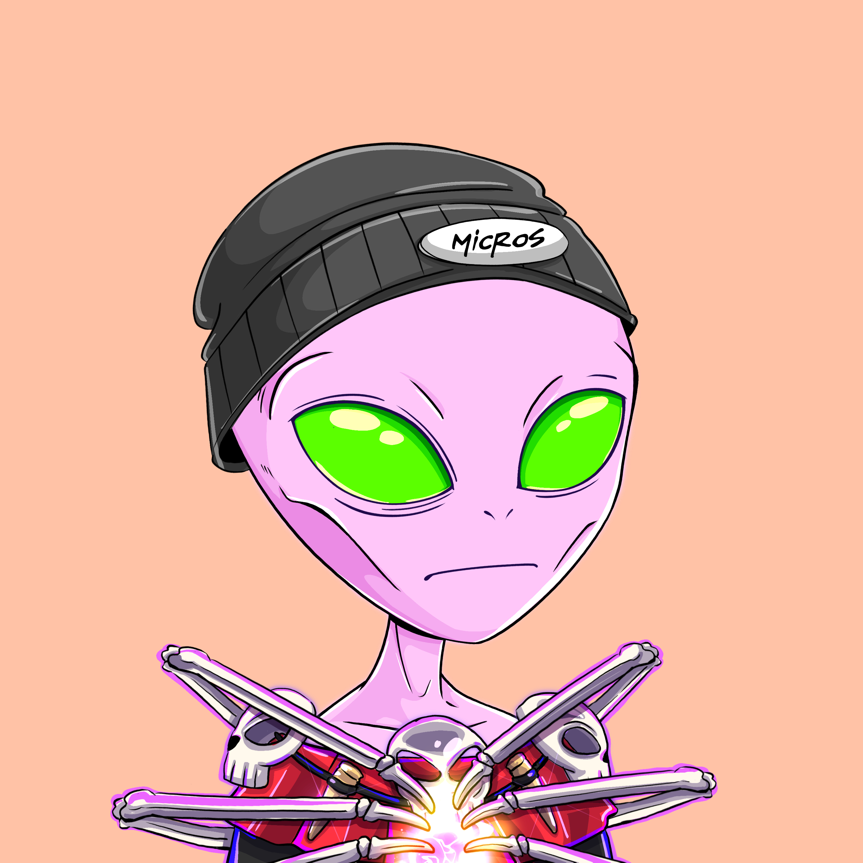 Micros #5562