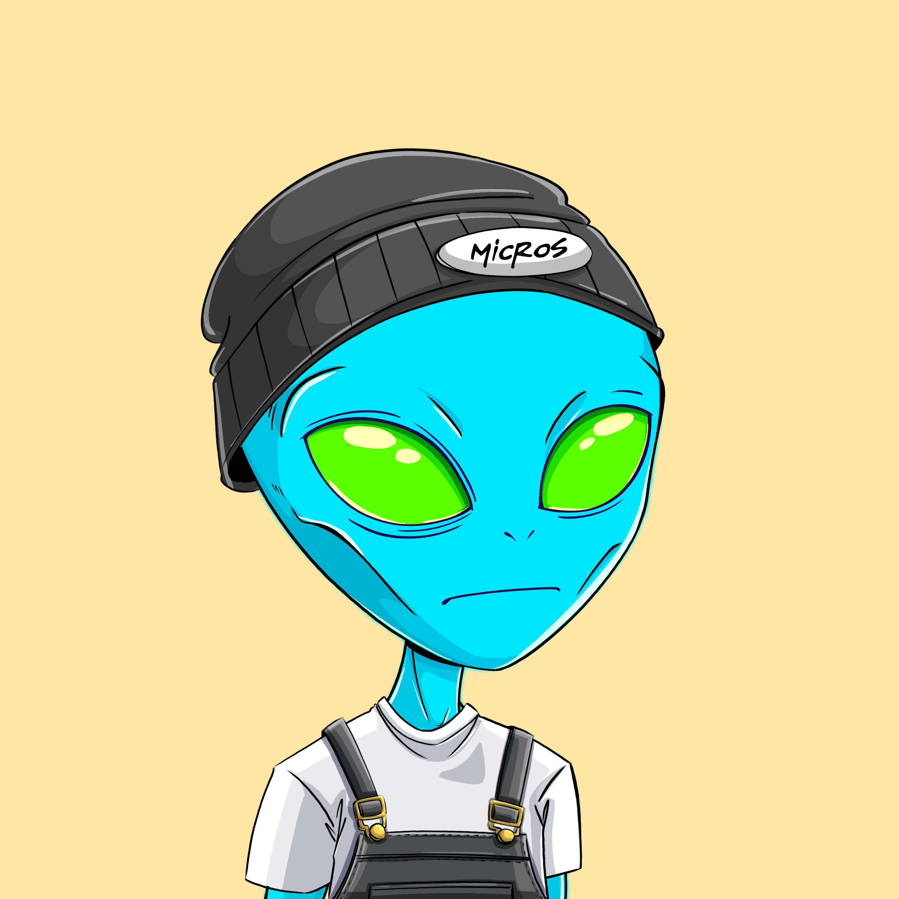 Micros #2569