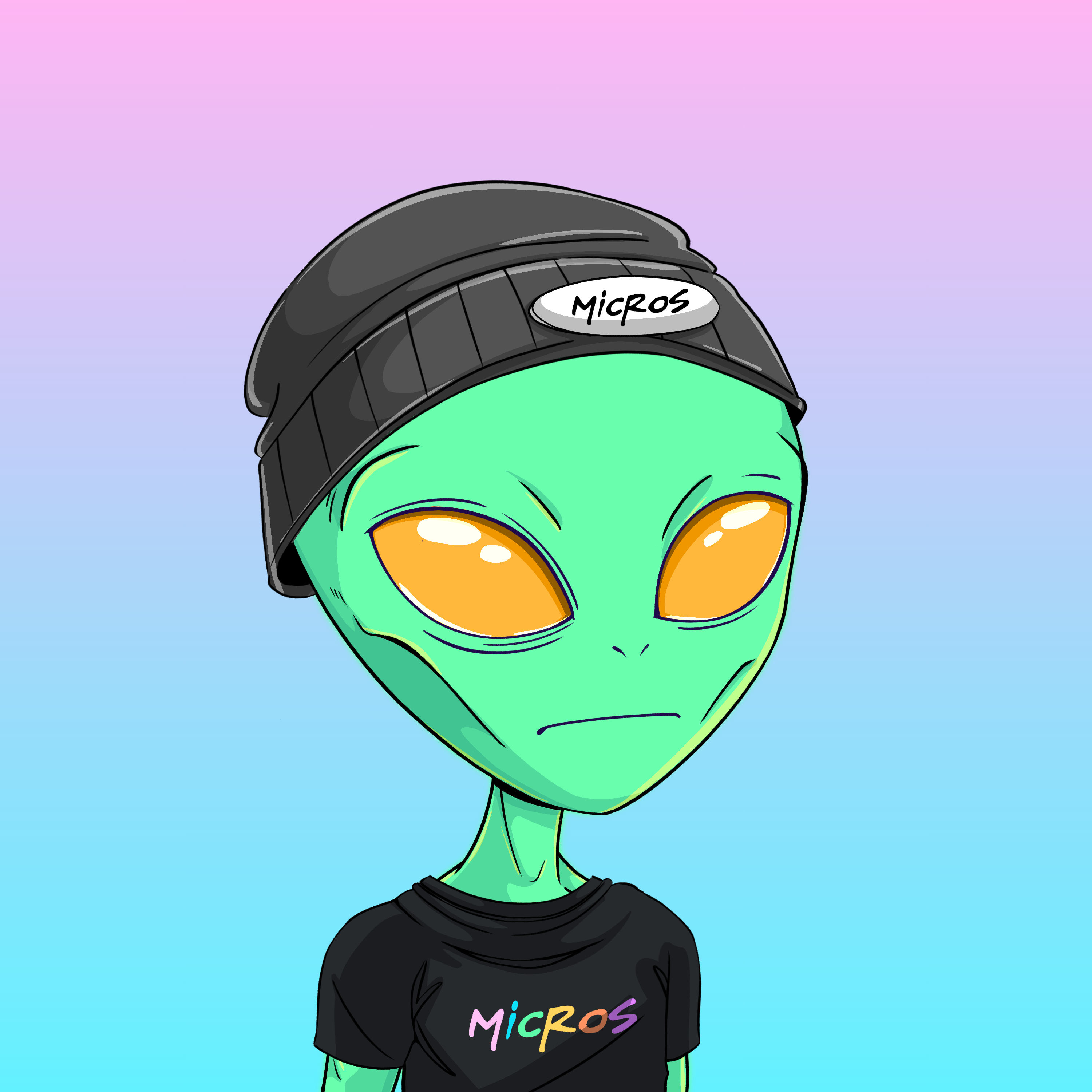 Micros #5633