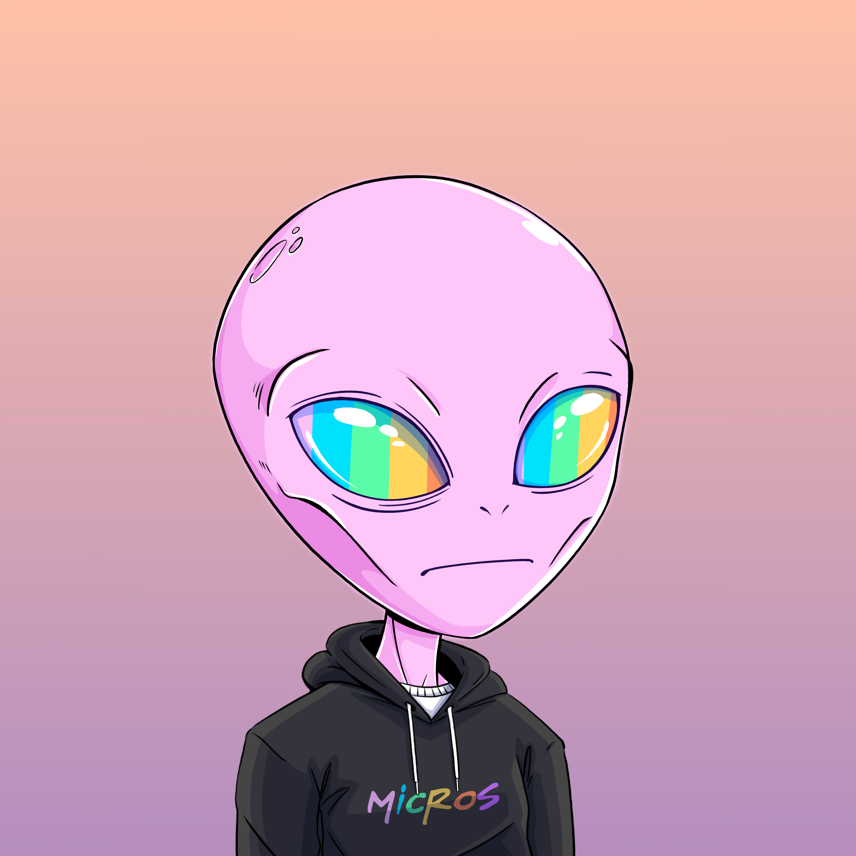 Micros #2040