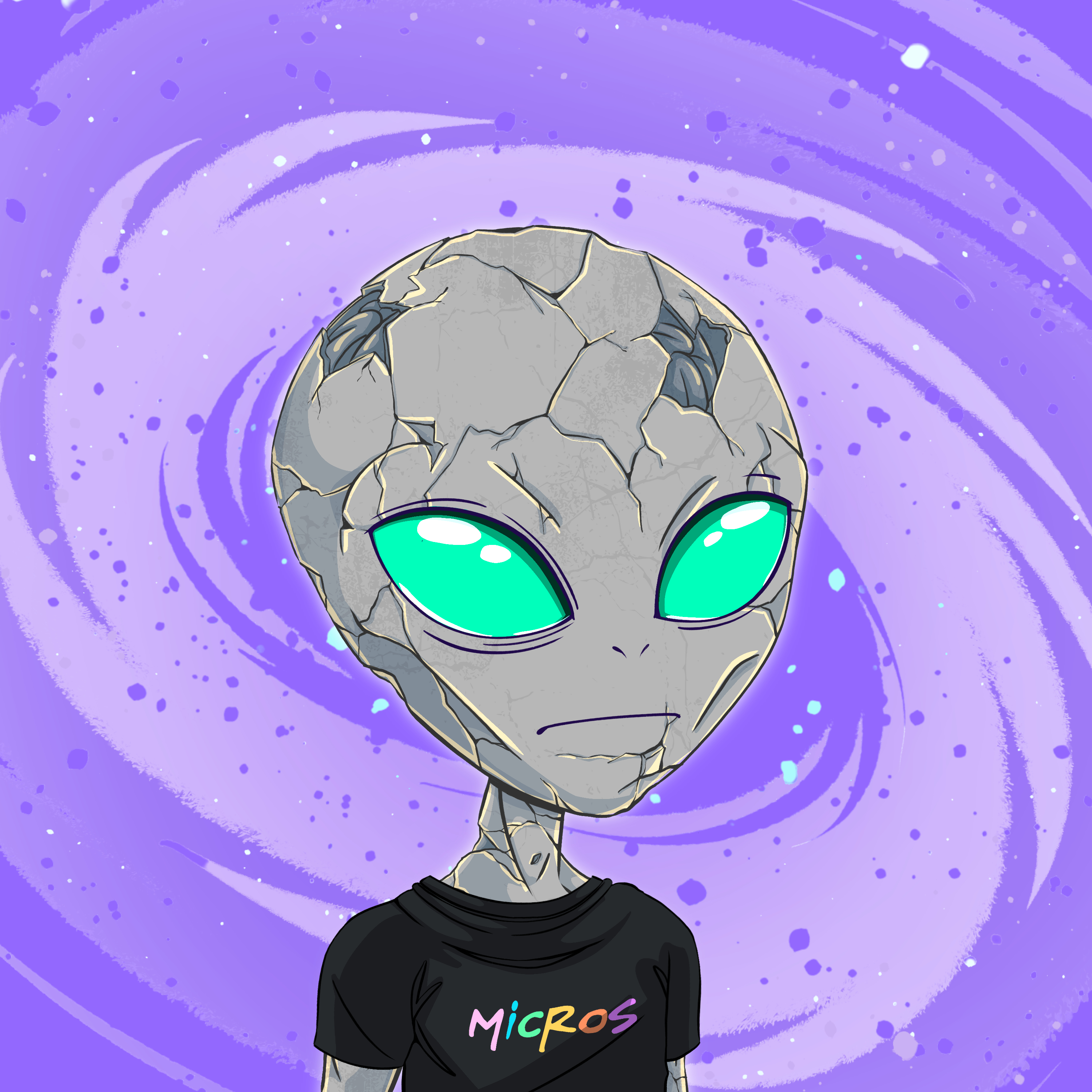 Micros #2796