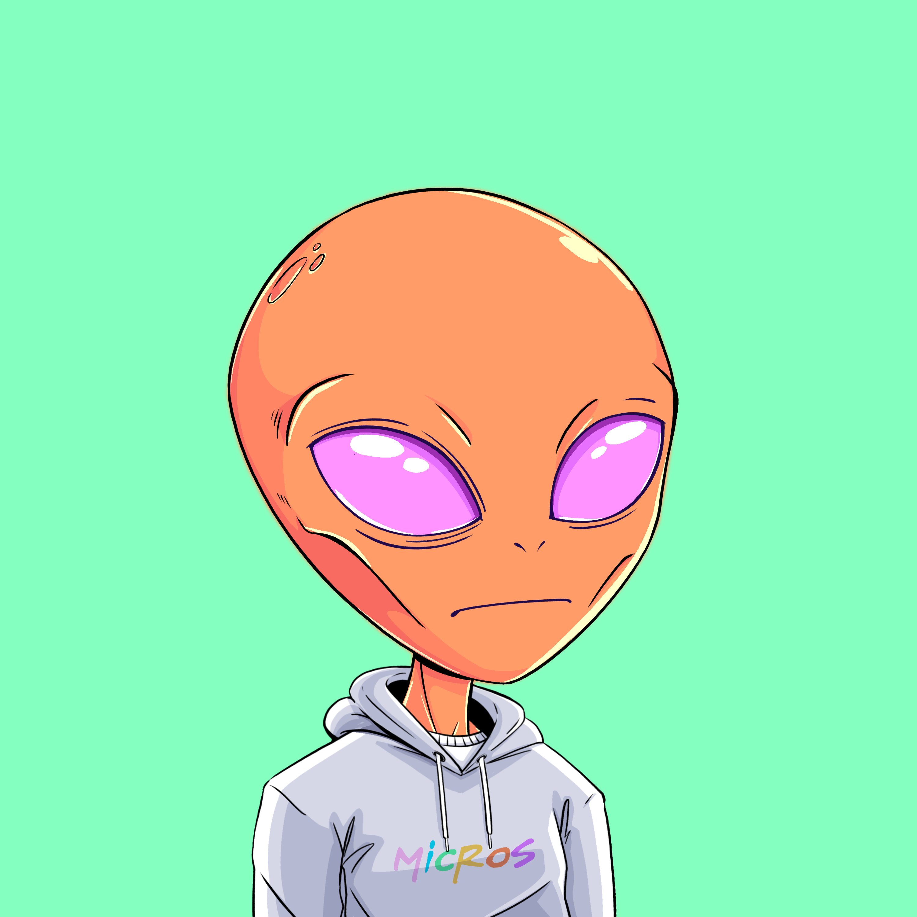 Micros #598